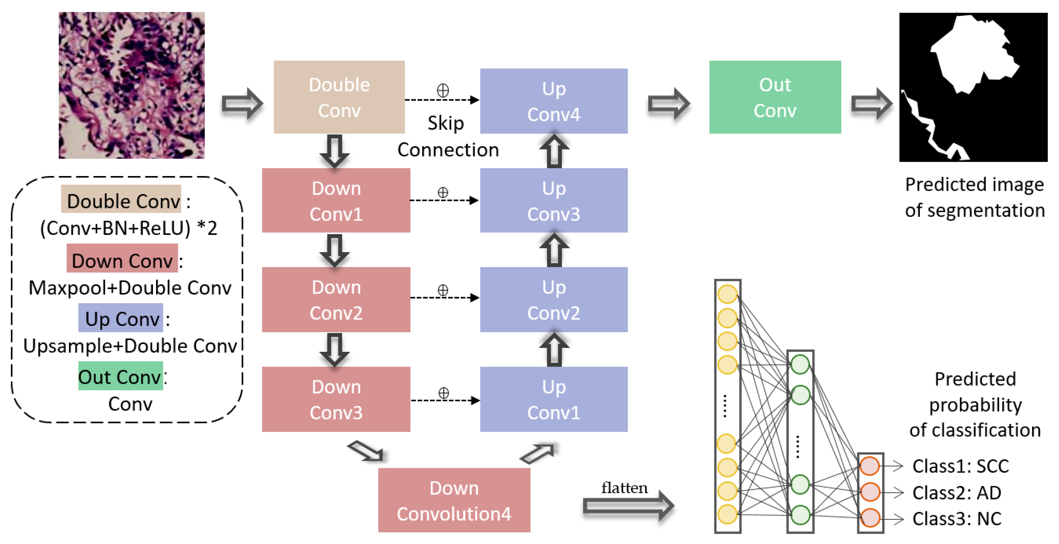 Diagnostics 12 01849 g003 550