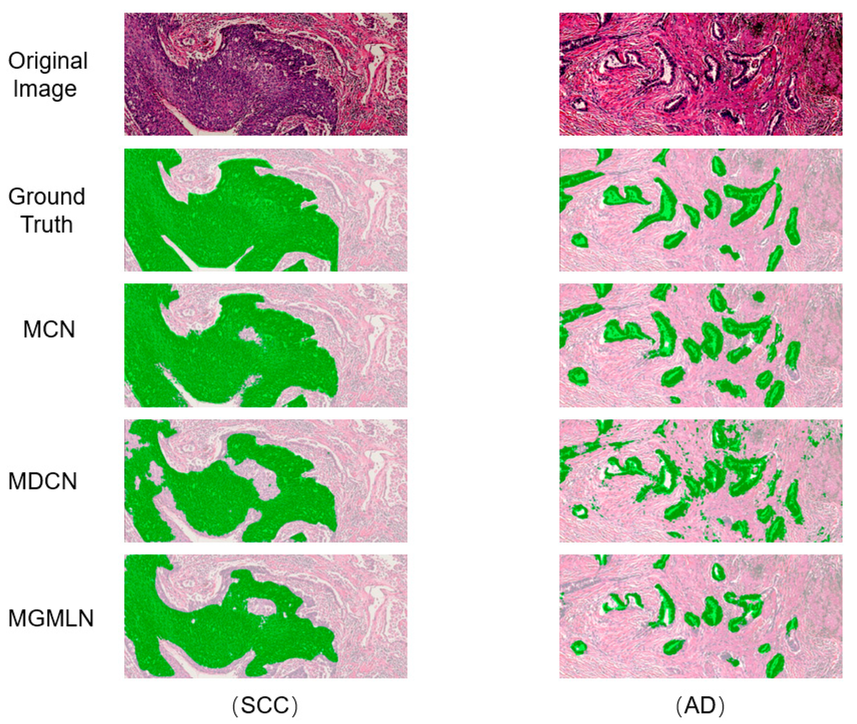 Diagnostics 12 01849 g004 550