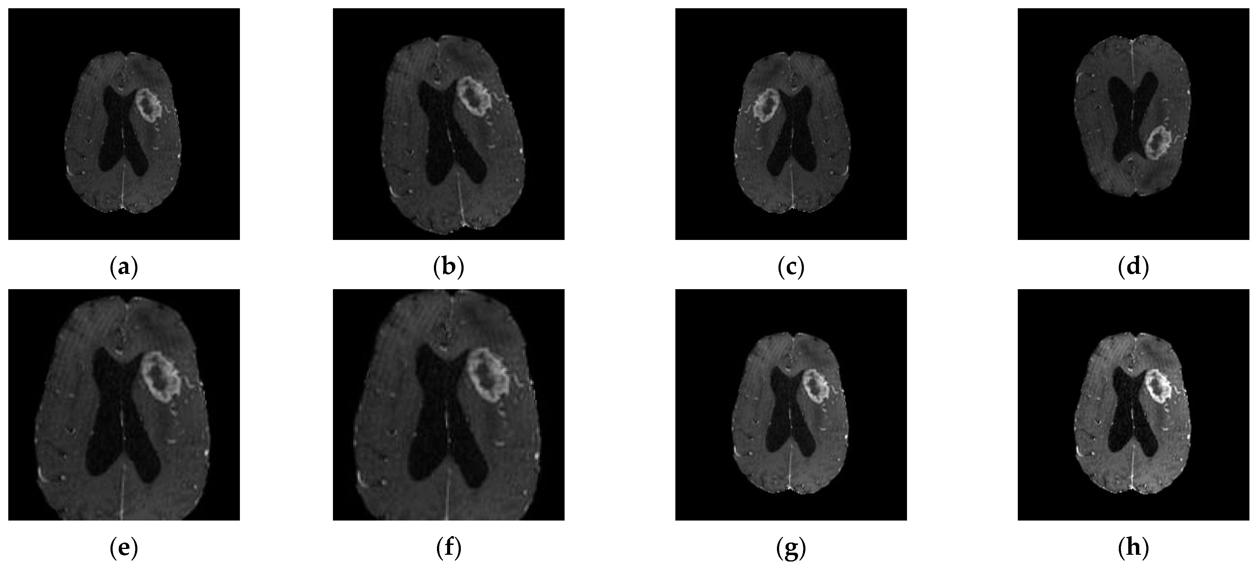 Diagnostics 12 01850 g003