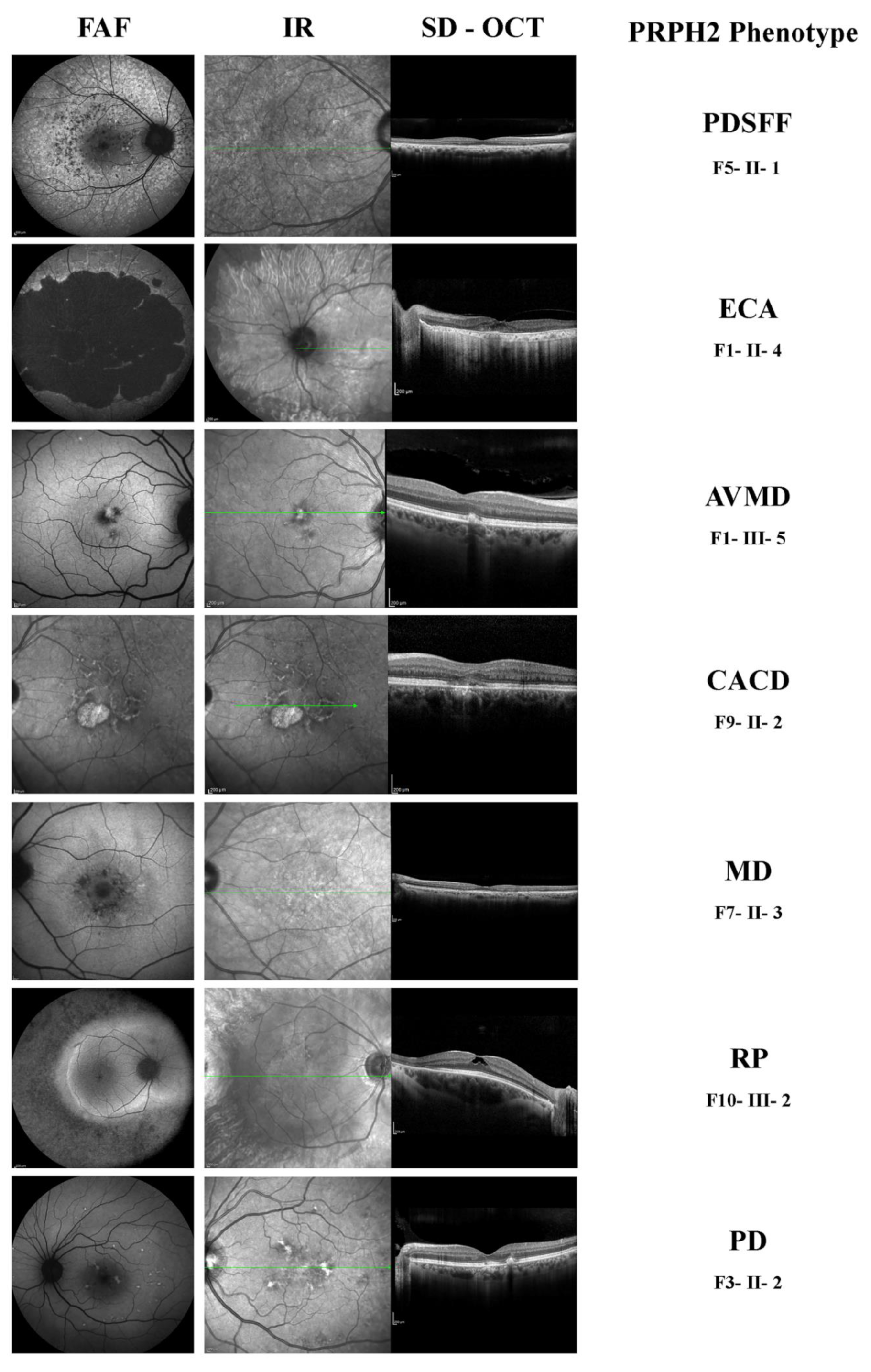 Diagnostics 12 01851 g001 Diagnostics 12 01851 g001