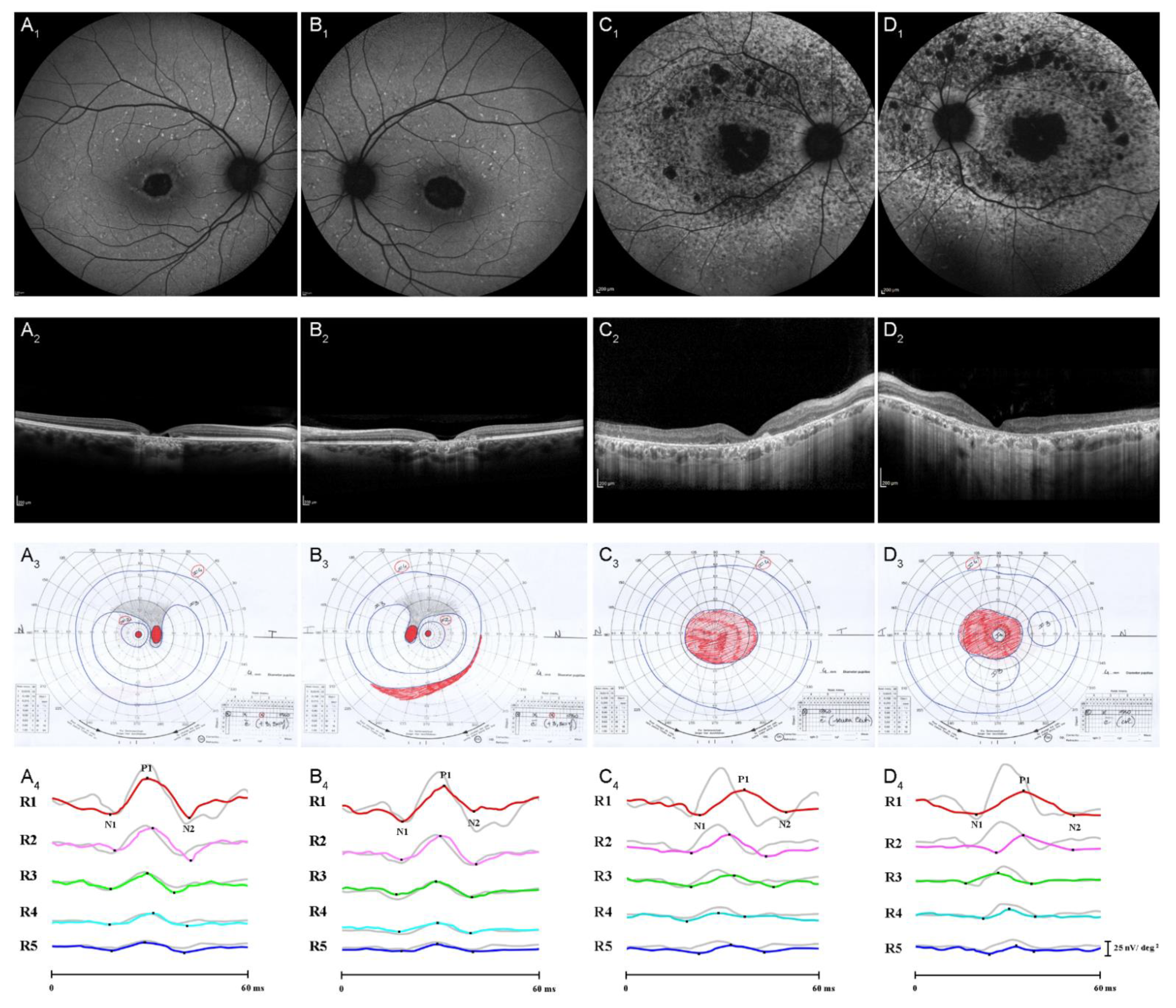 Diagnostics 12 01851 g002 Diagnostics 12 01851 g002