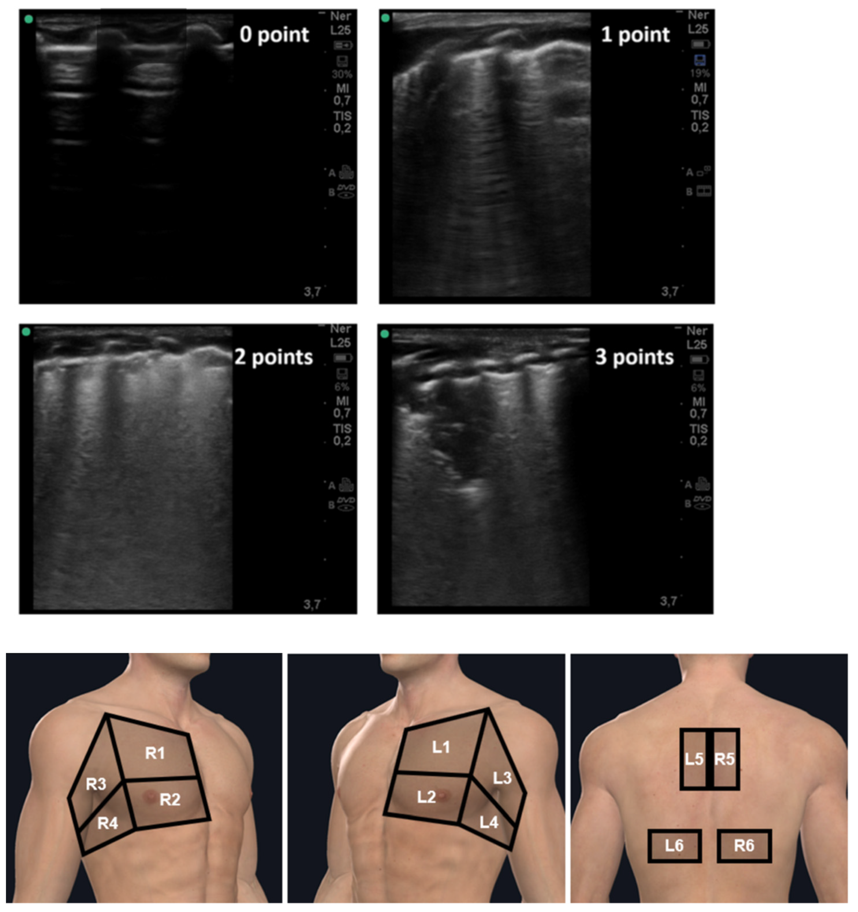 Diagnostics 12 01856 g001