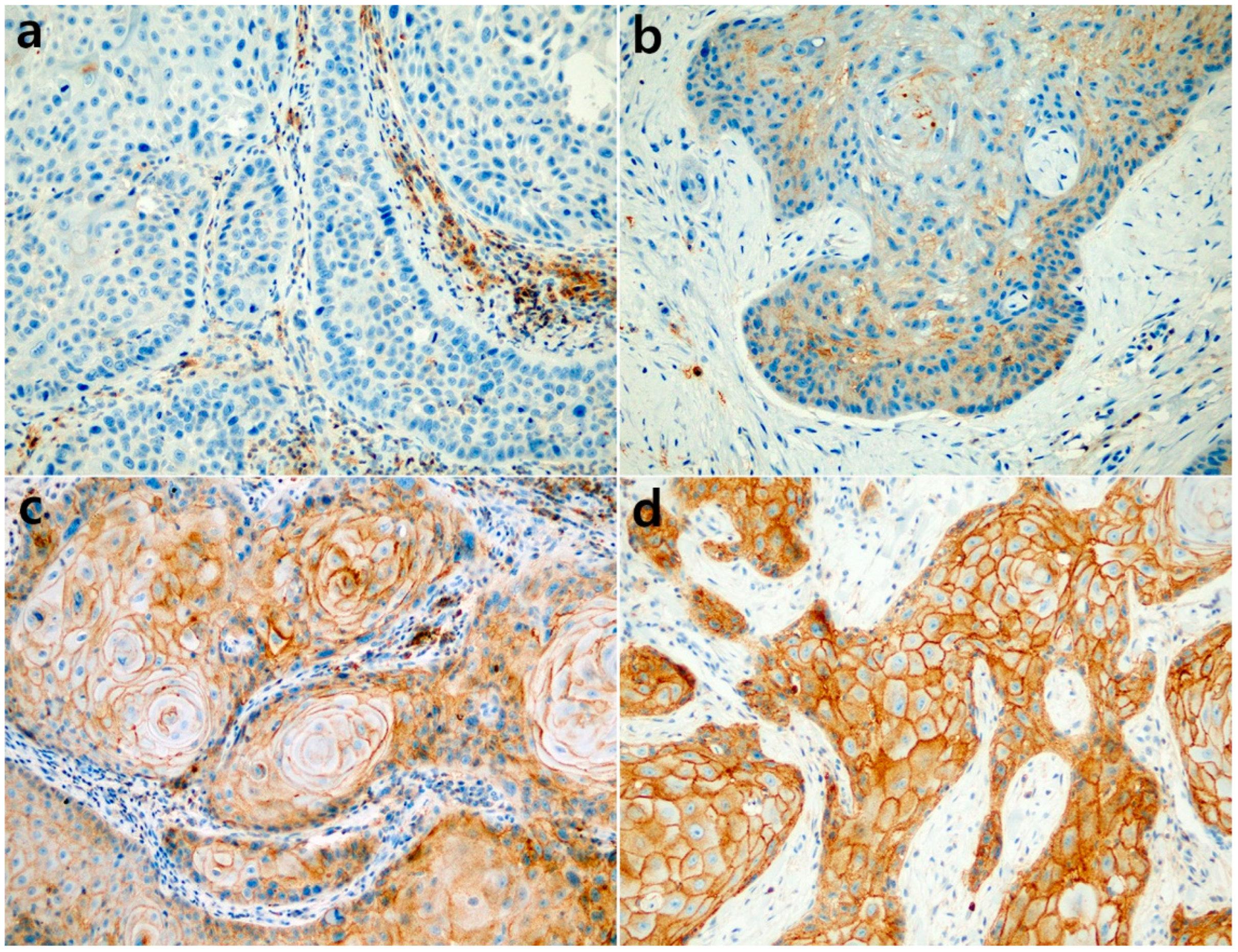 Diagnostics 12 01859 g001 Diagnostics 12 01859 g001