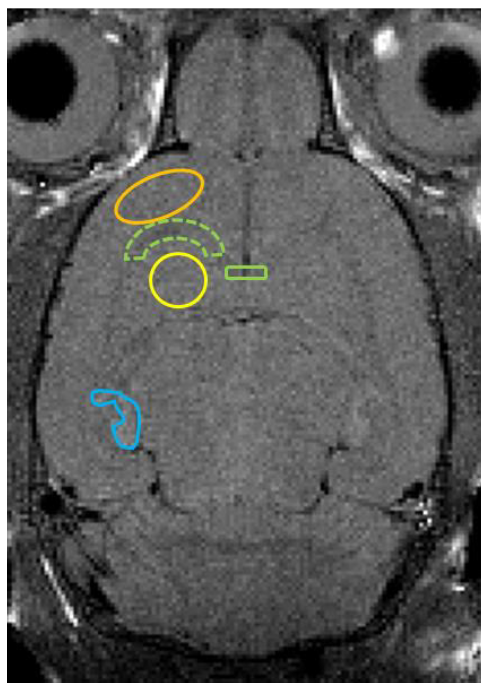 Diagnostics 12 01864 g001
