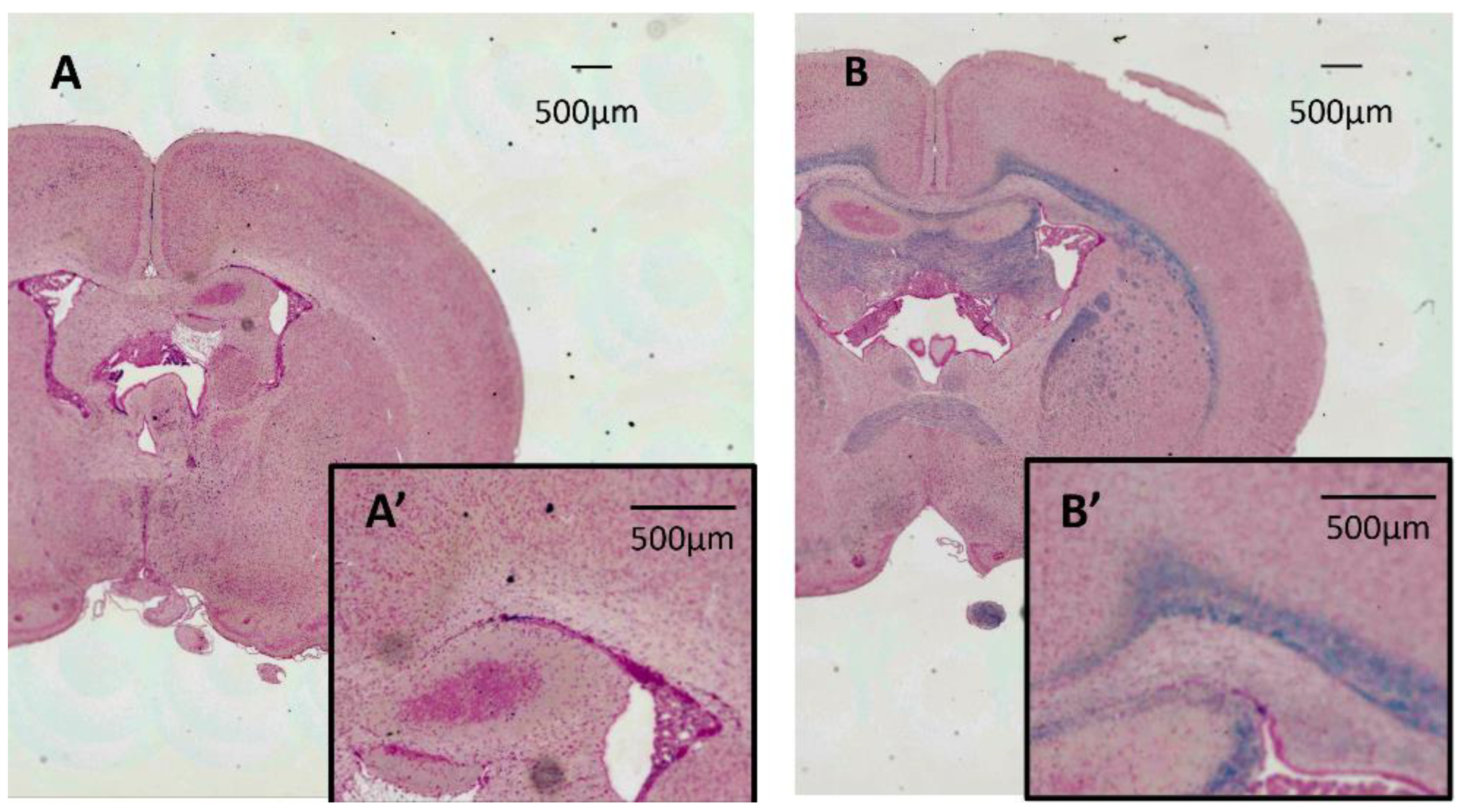 Diagnostics 12 01864 g006