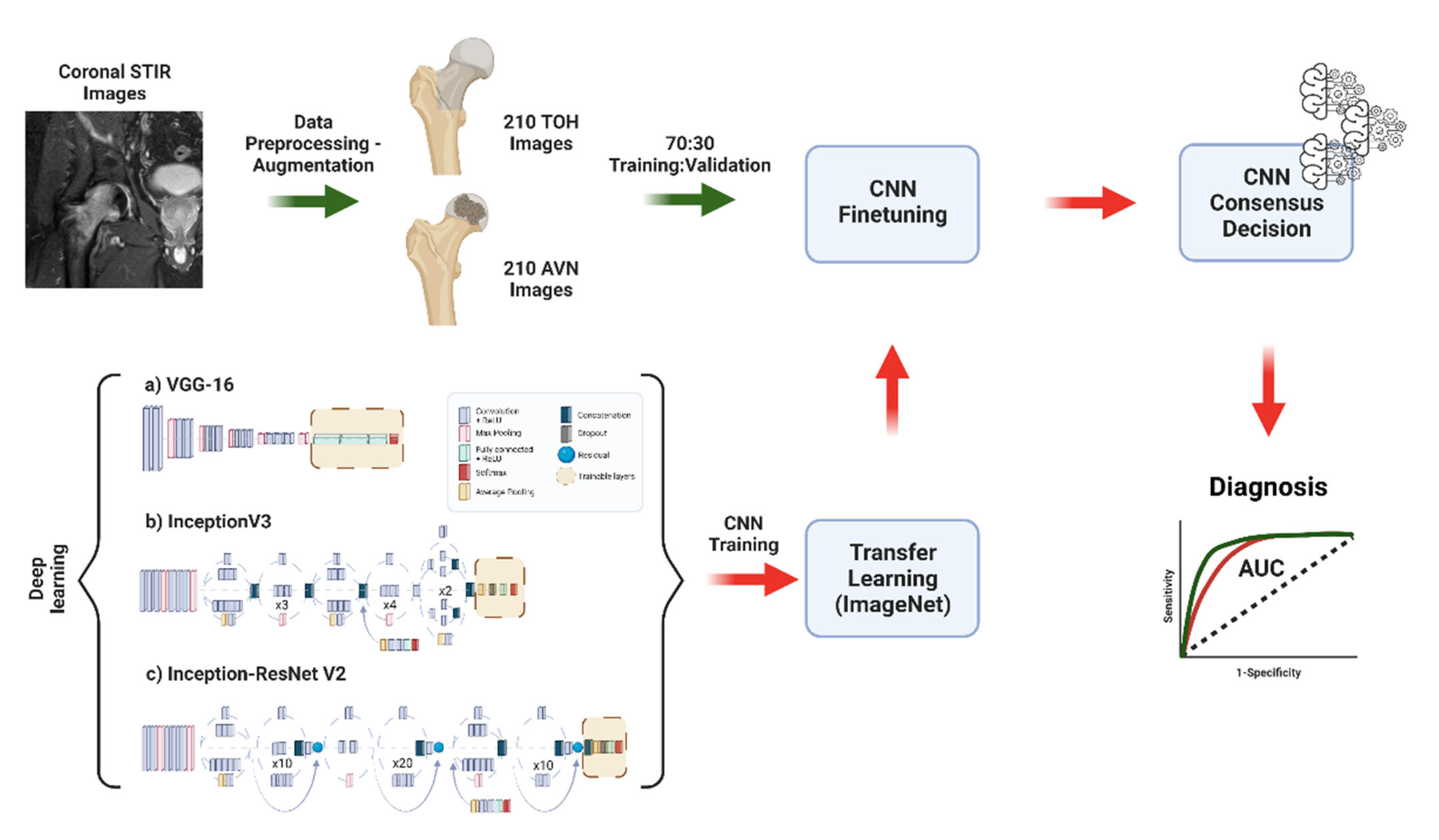 Diagnostics 12 01870 g001