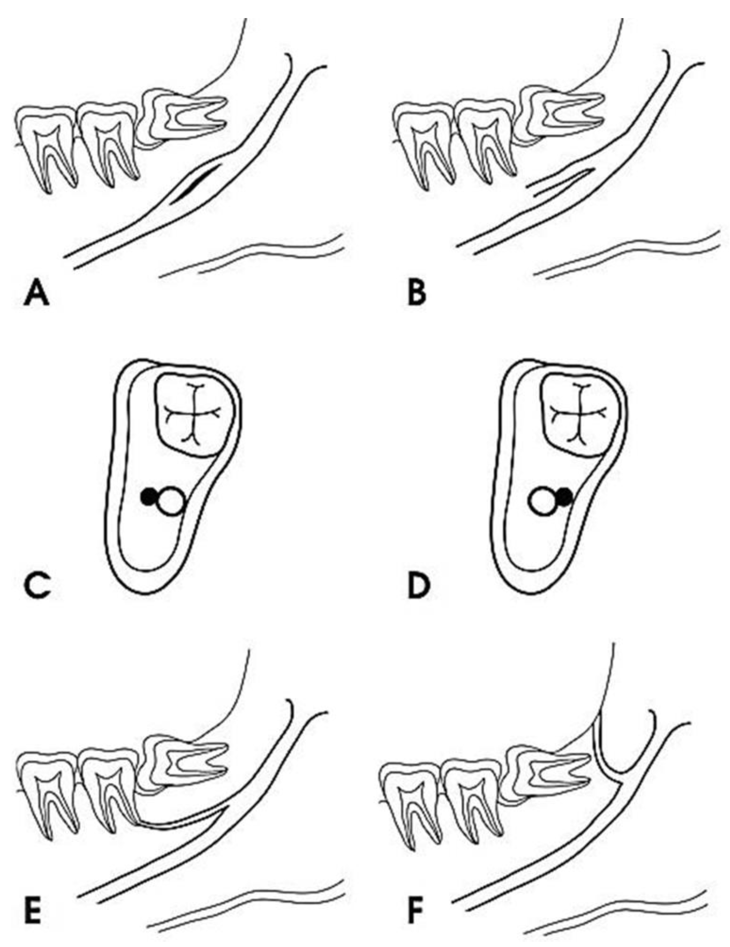 Diagnostics 12 01885 g002