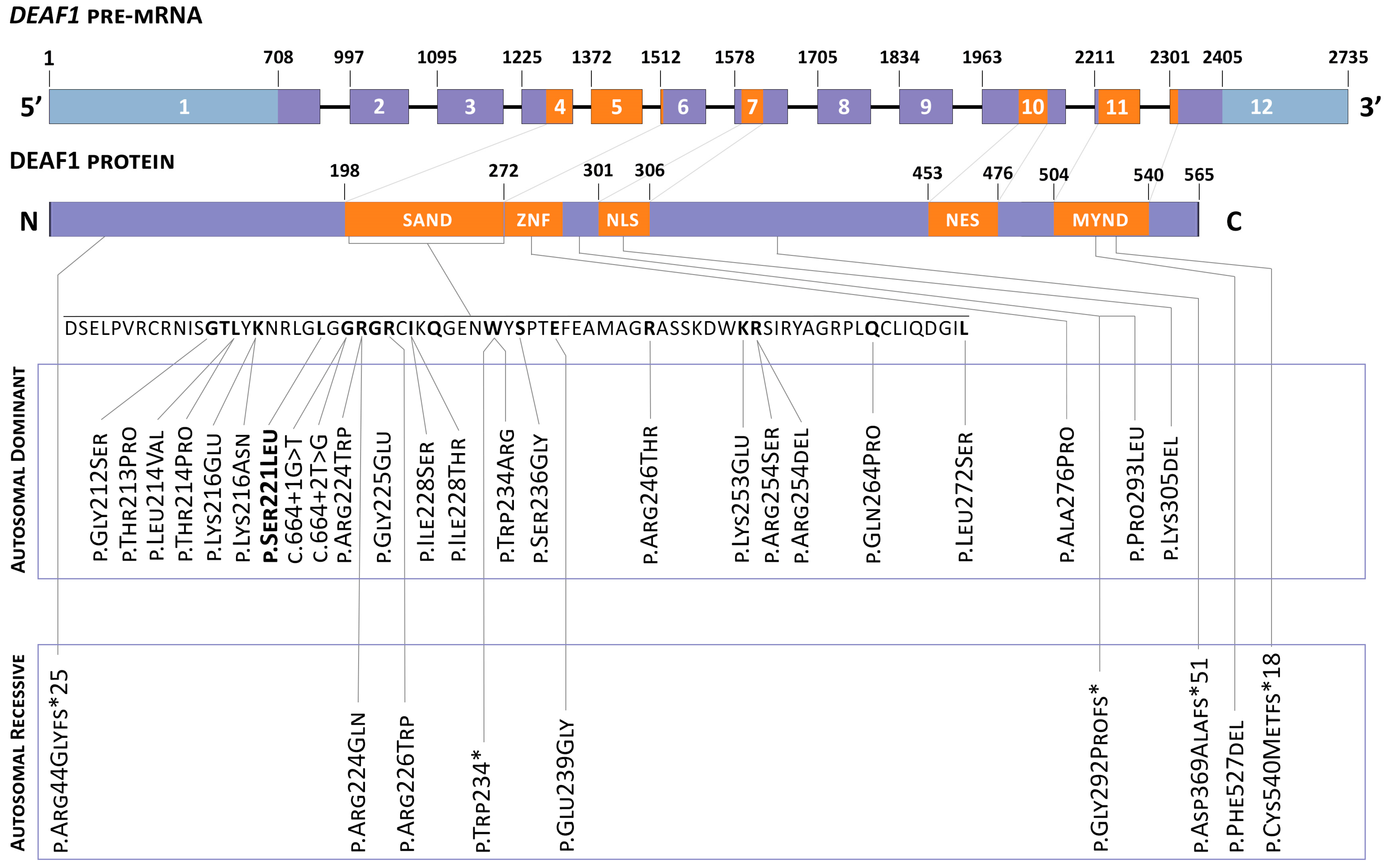 Diagnostics 12 01887 g001 550