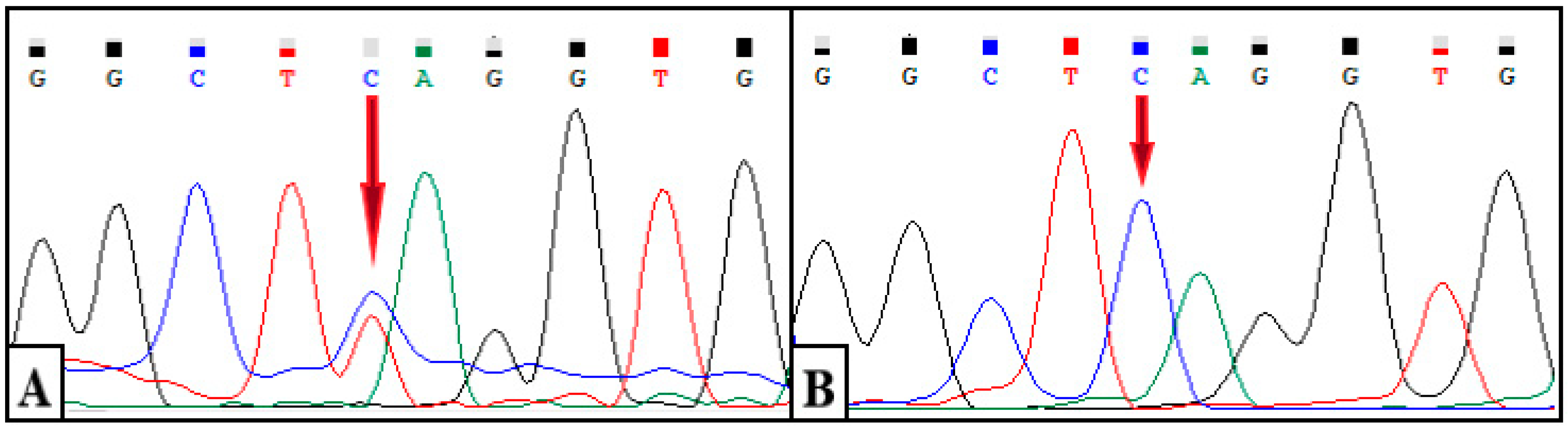 Diagnostics 12 01887 g004 550