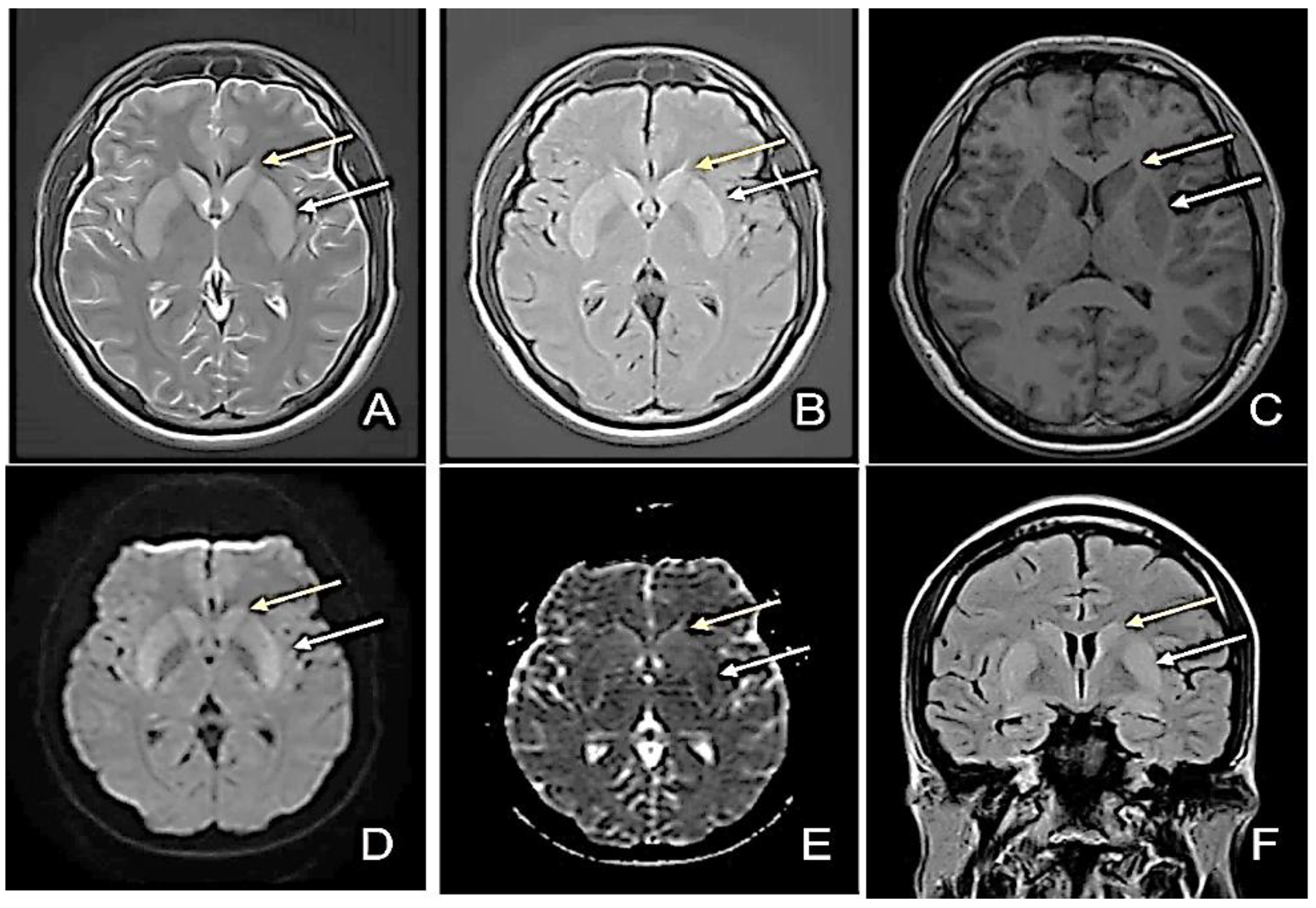 Diagnostics 12 01888 g001 550