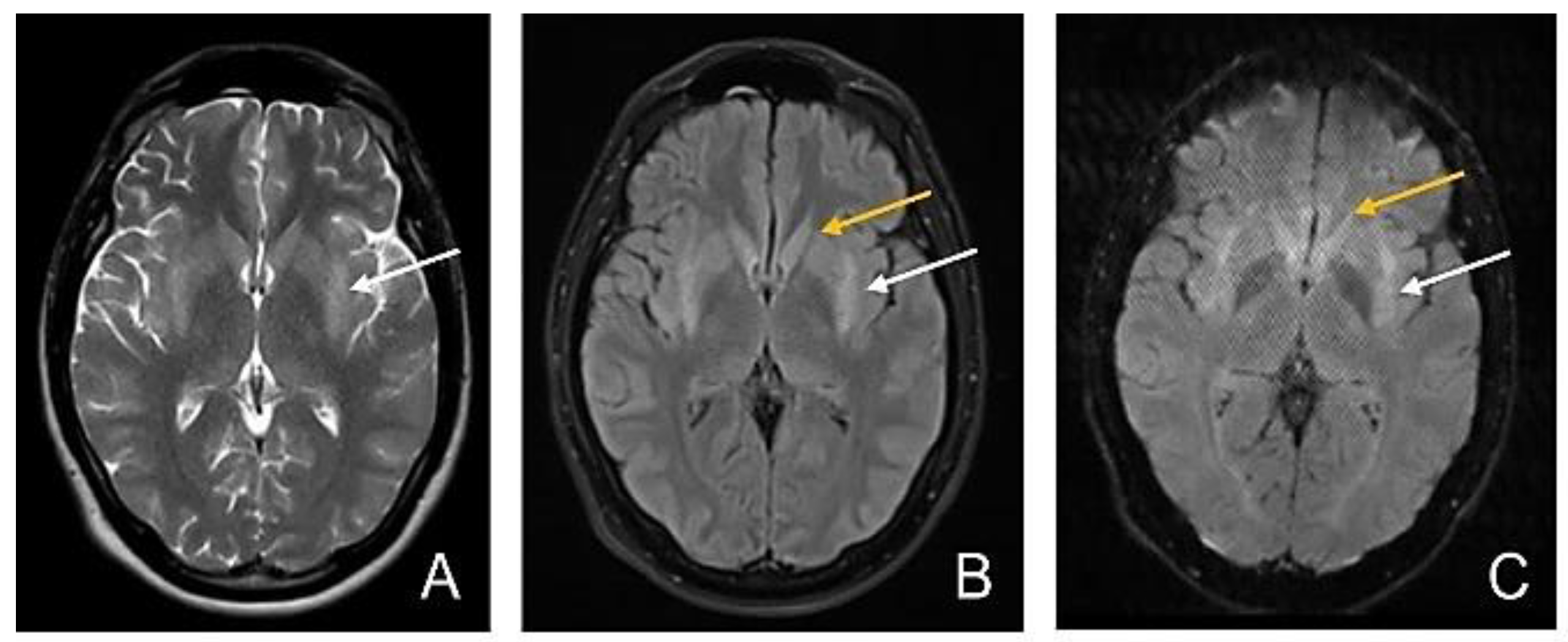 Diagnostics 12 01888 g003 550