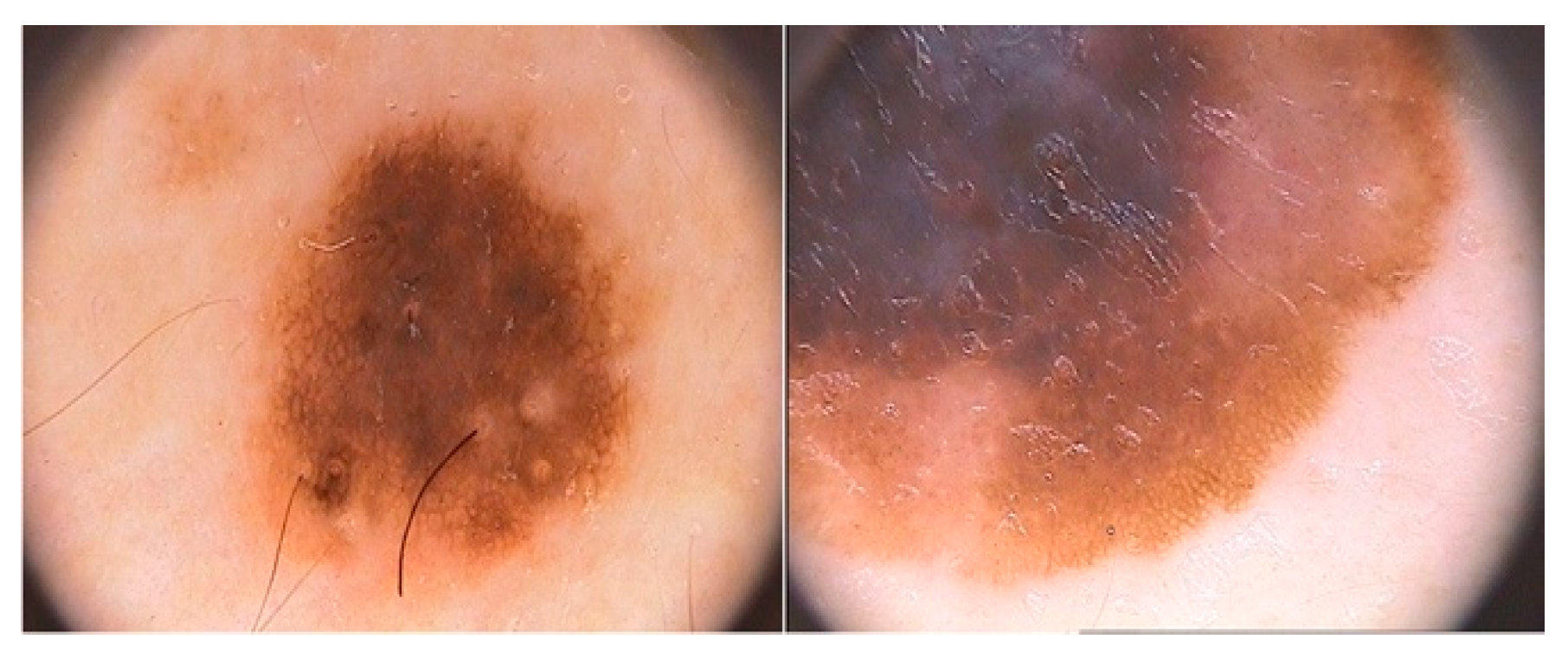 Diagnostics 12 01893 g002