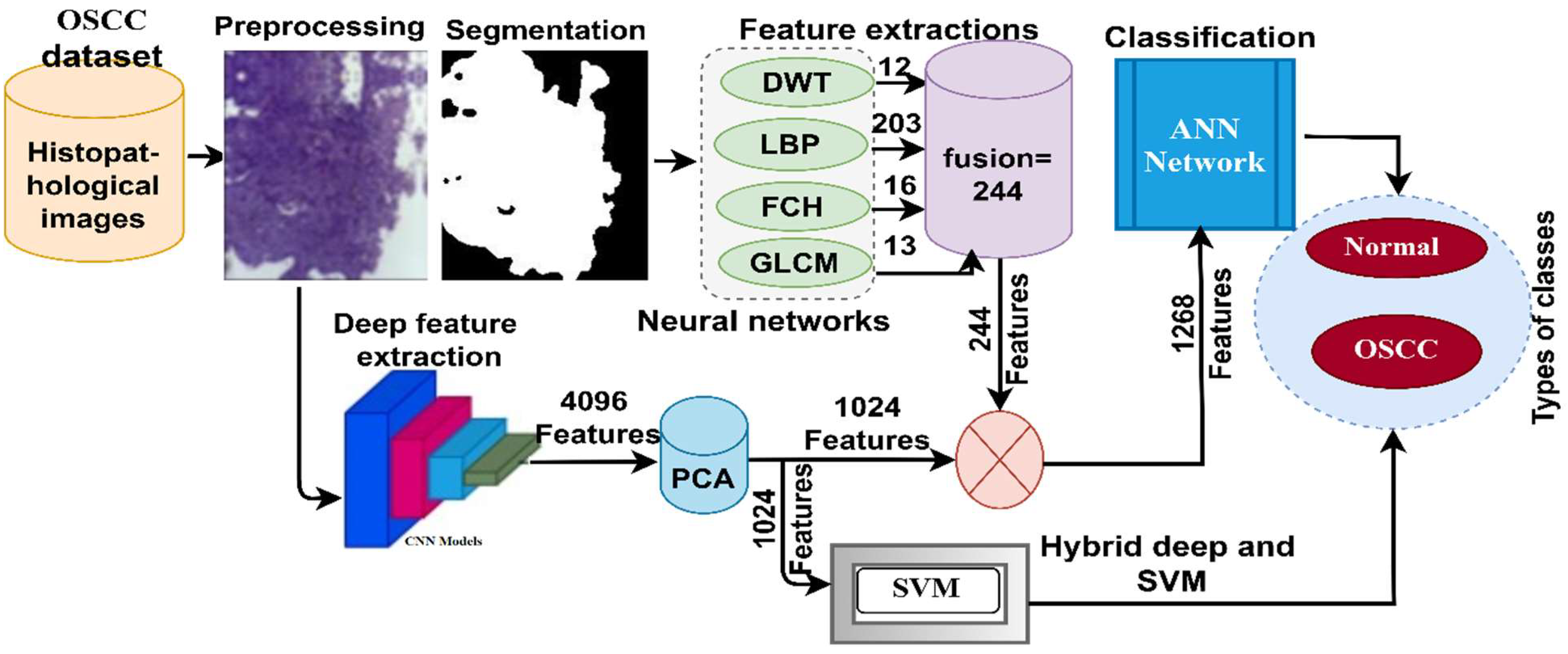 Diagnostics 12 01899 g001 550