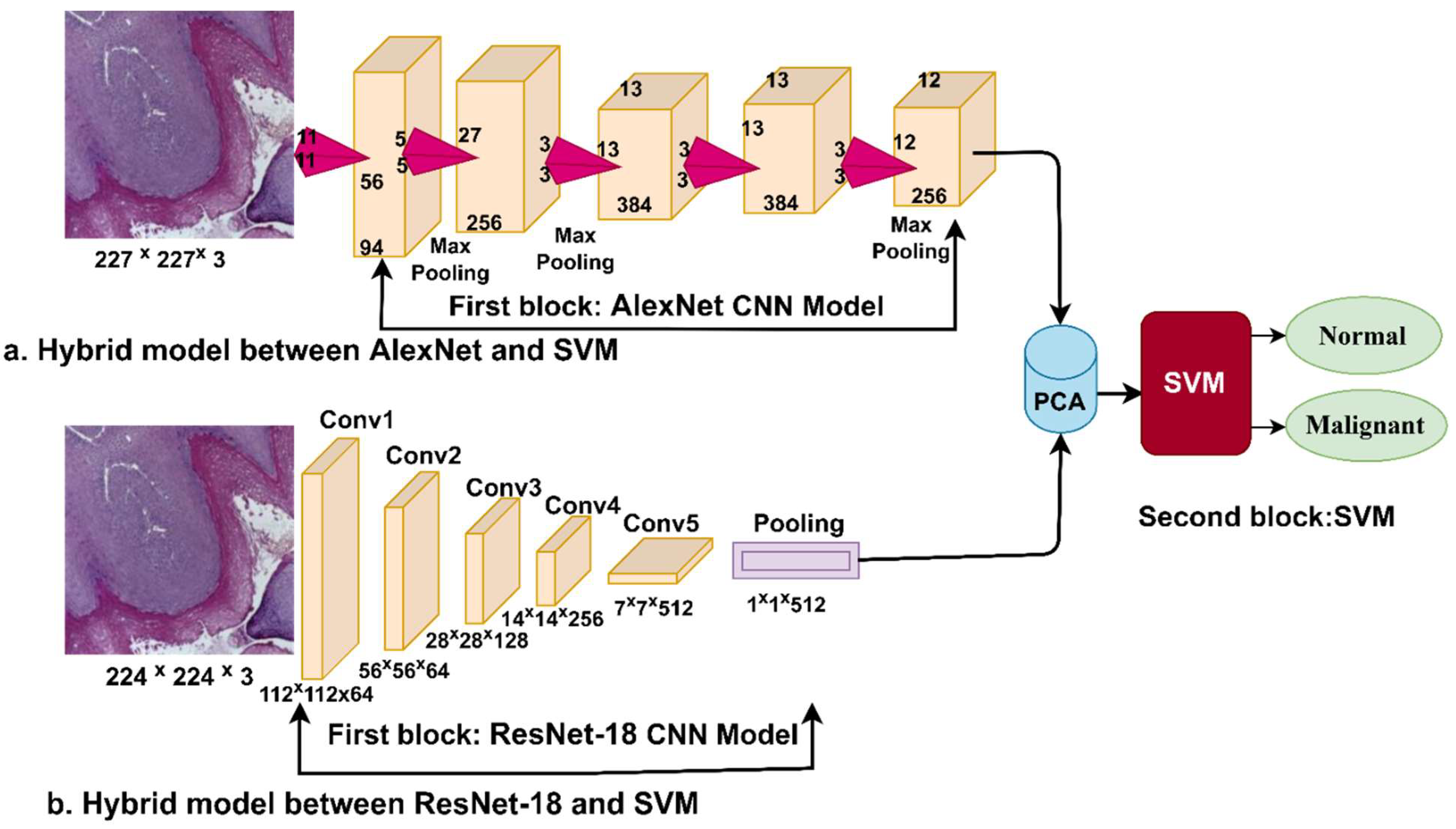 Diagnostics 12 01899 g003 550