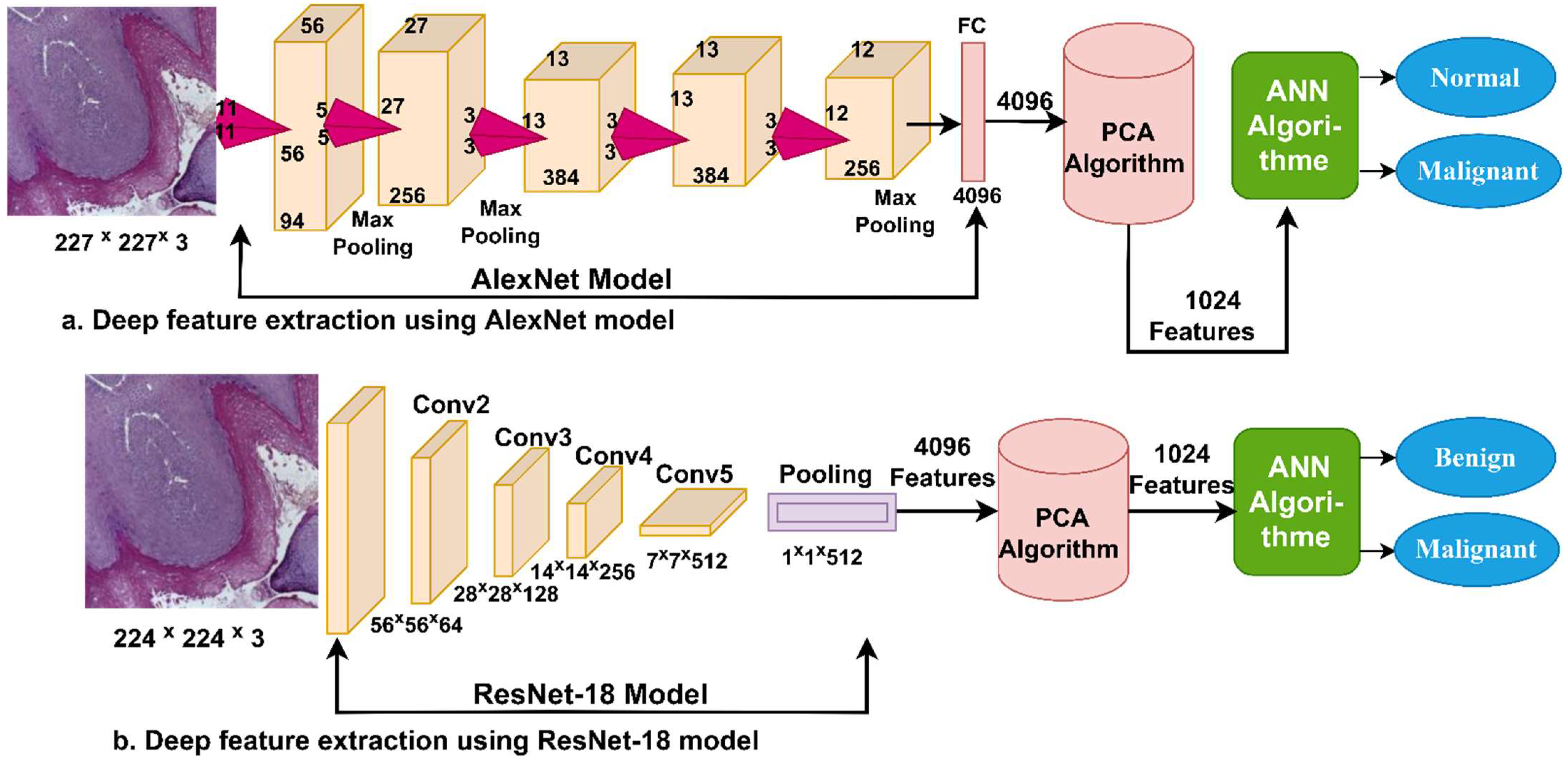 Diagnostics 12 01899 g005 550