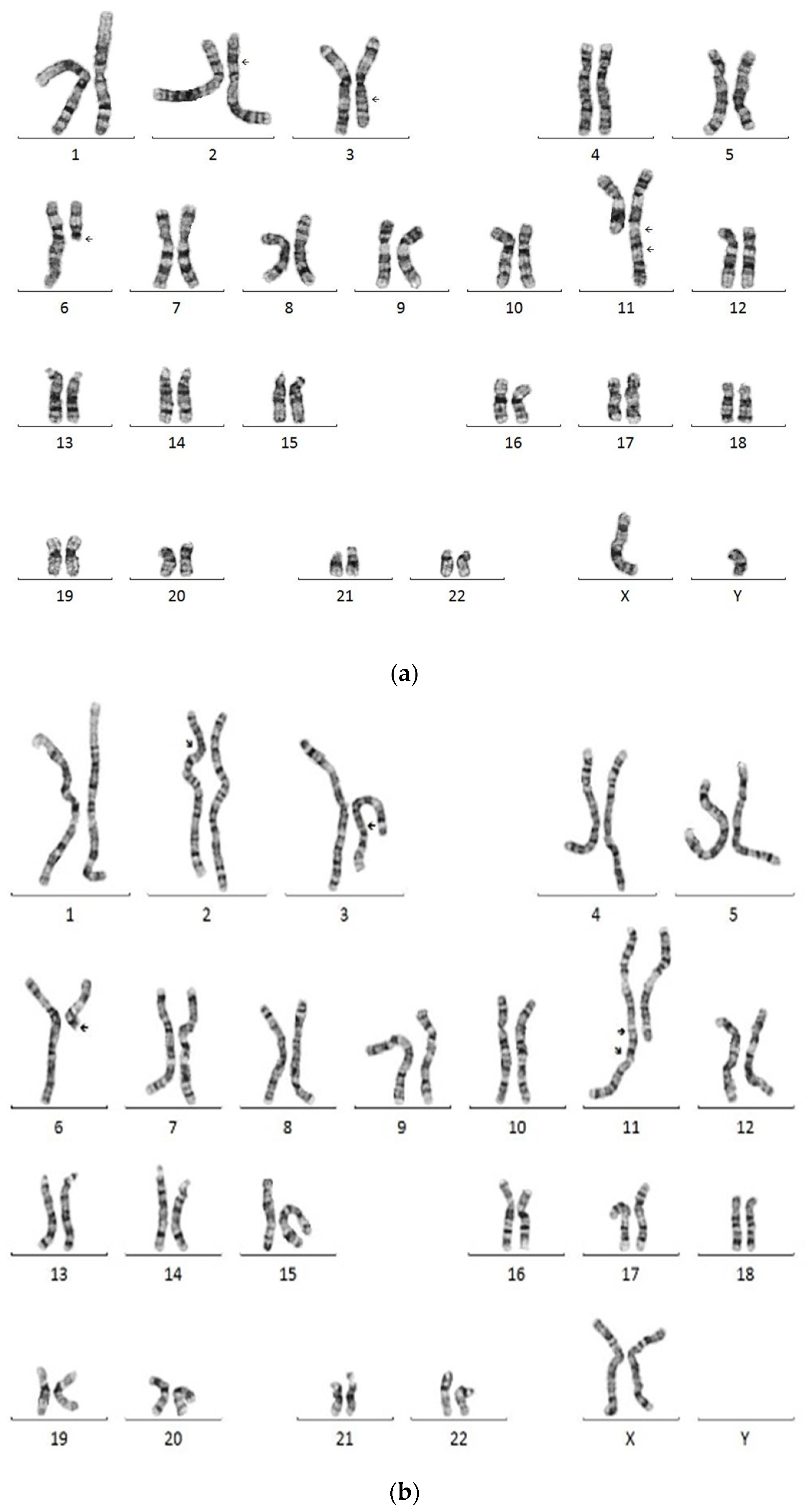Diagnostics 12 01900 g002