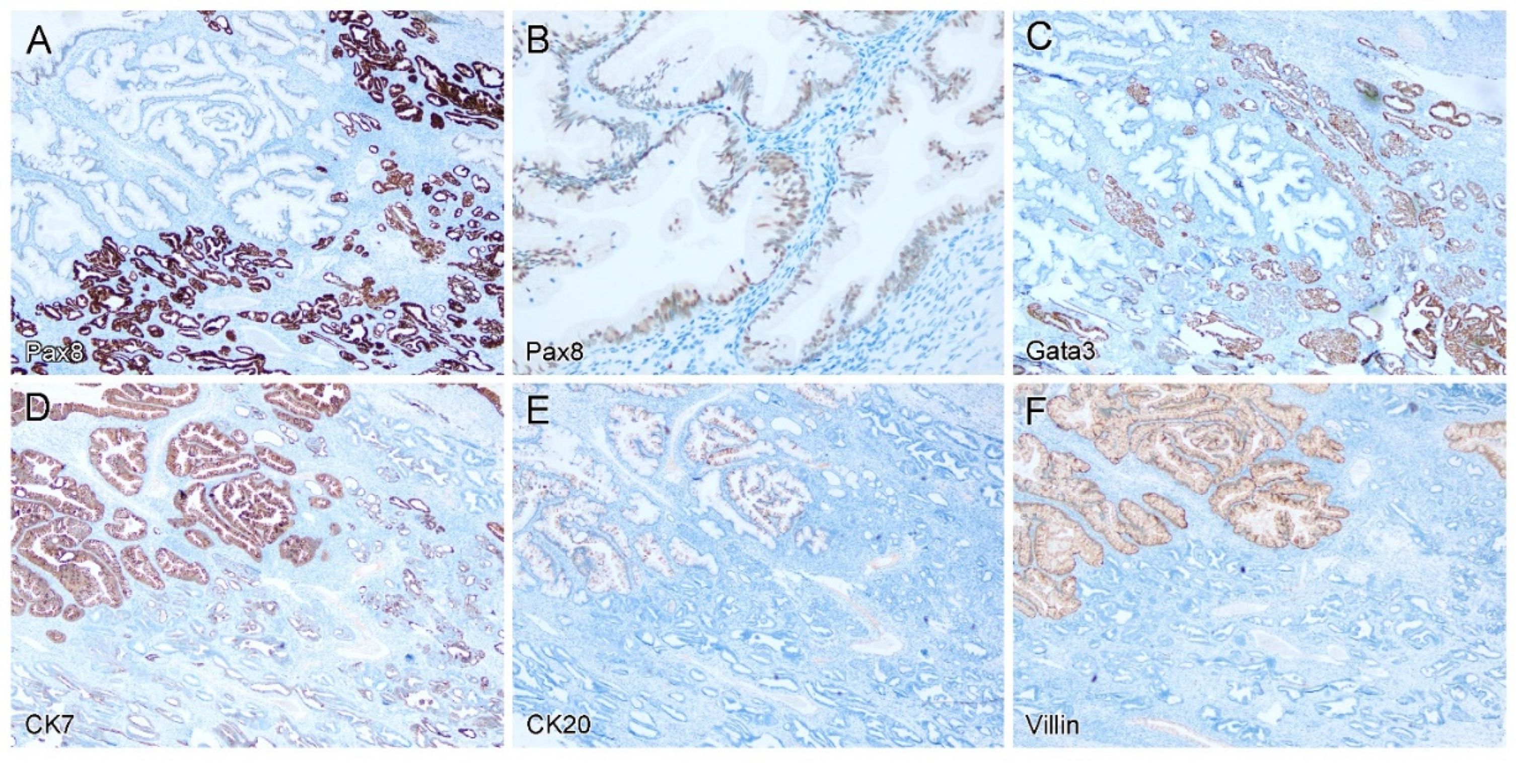 Diagnostics 12 01901 g002