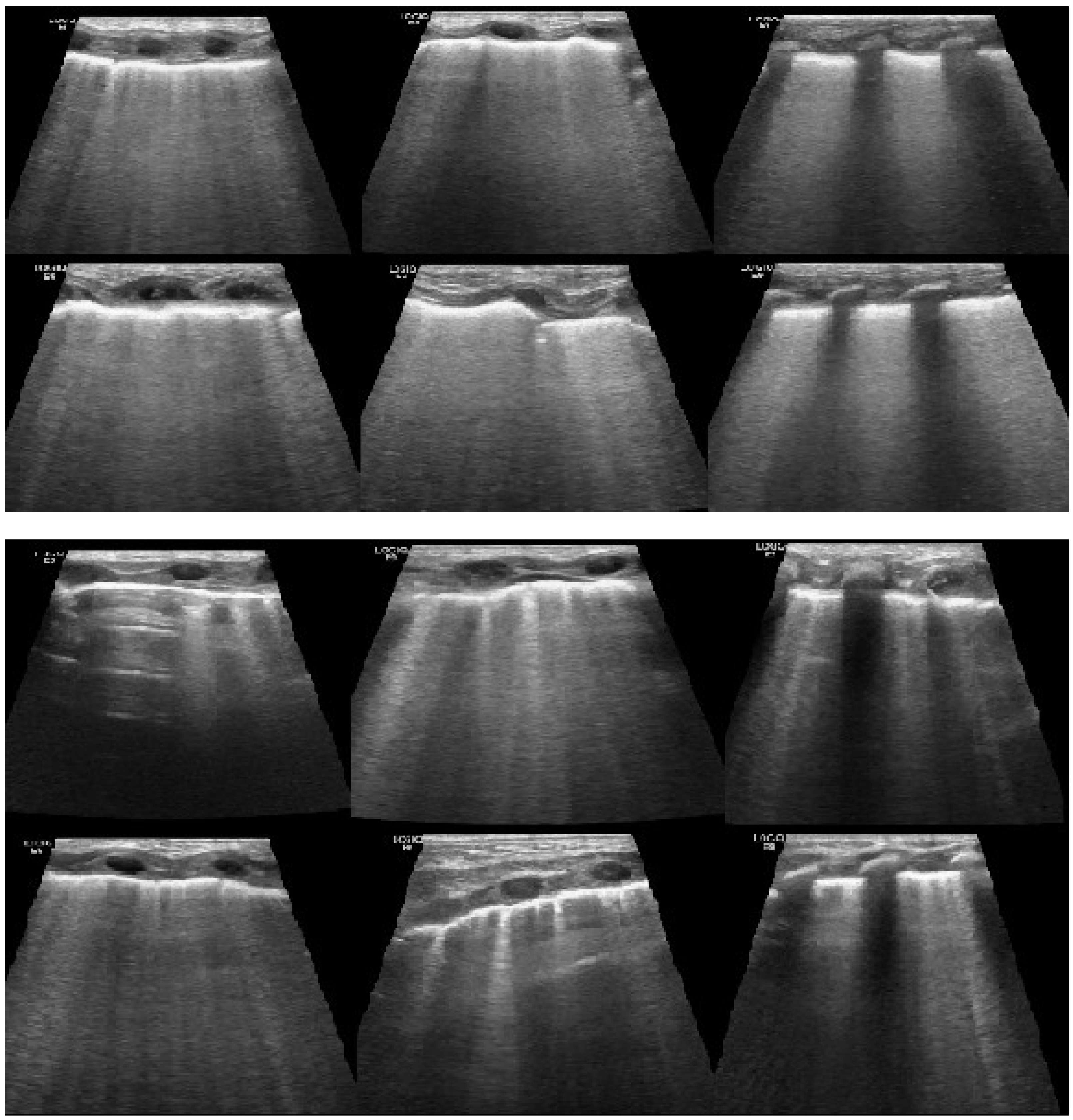 Diagnostics 12 01909 g001