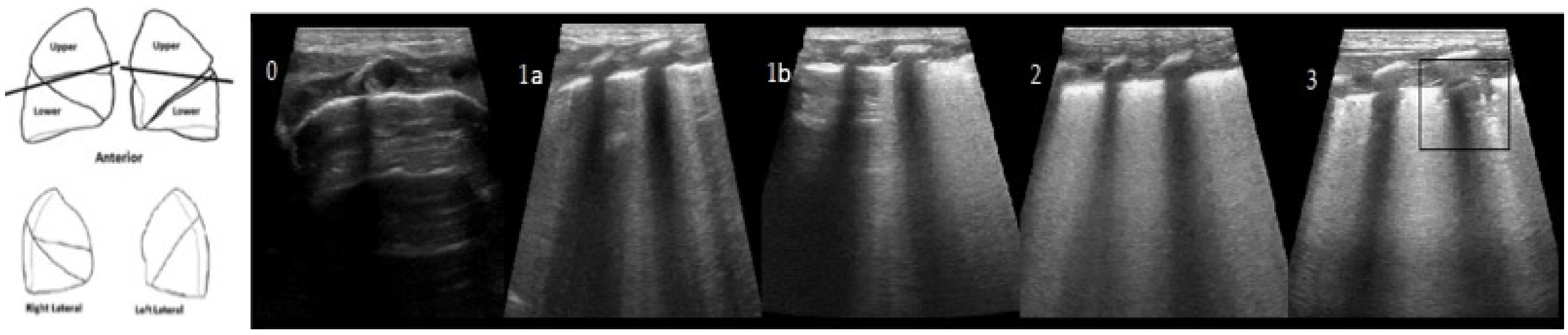 Diagnostics 12 01909 g002