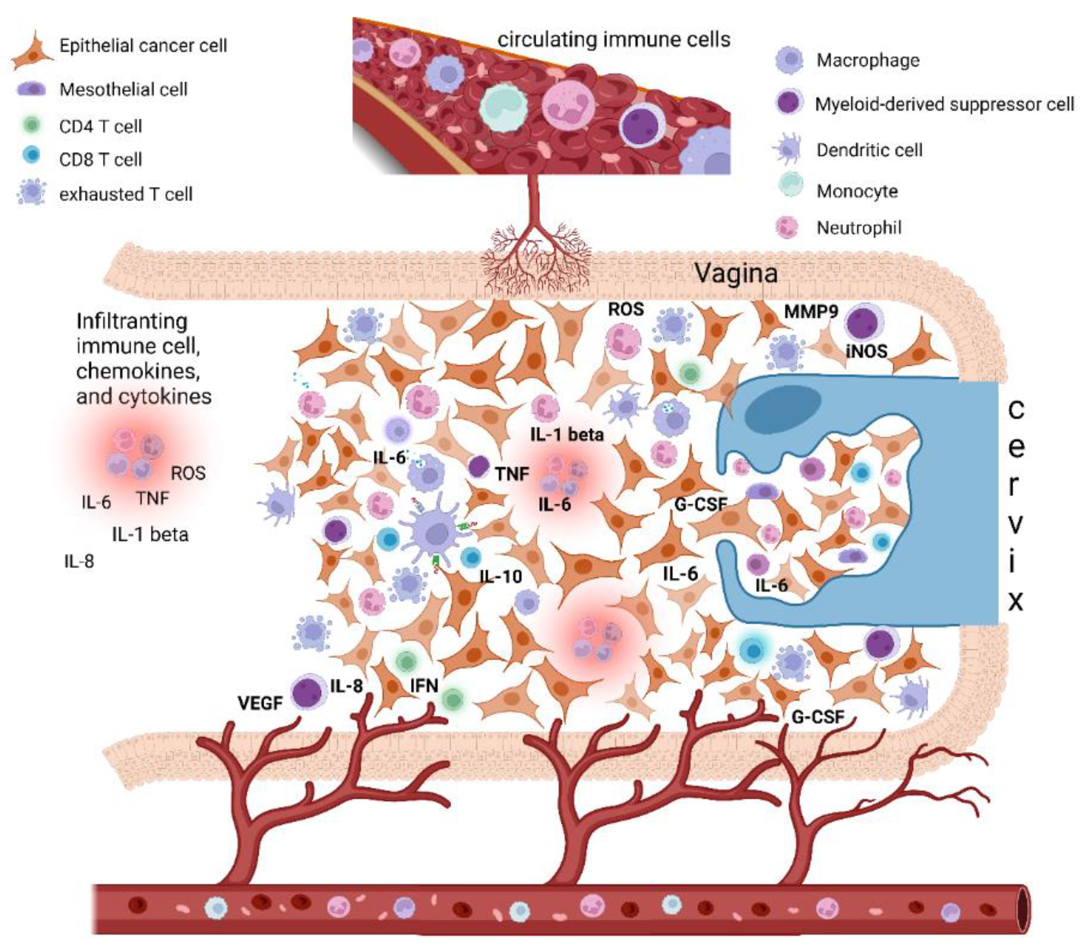 Diagnostics 12 01910 g001 550