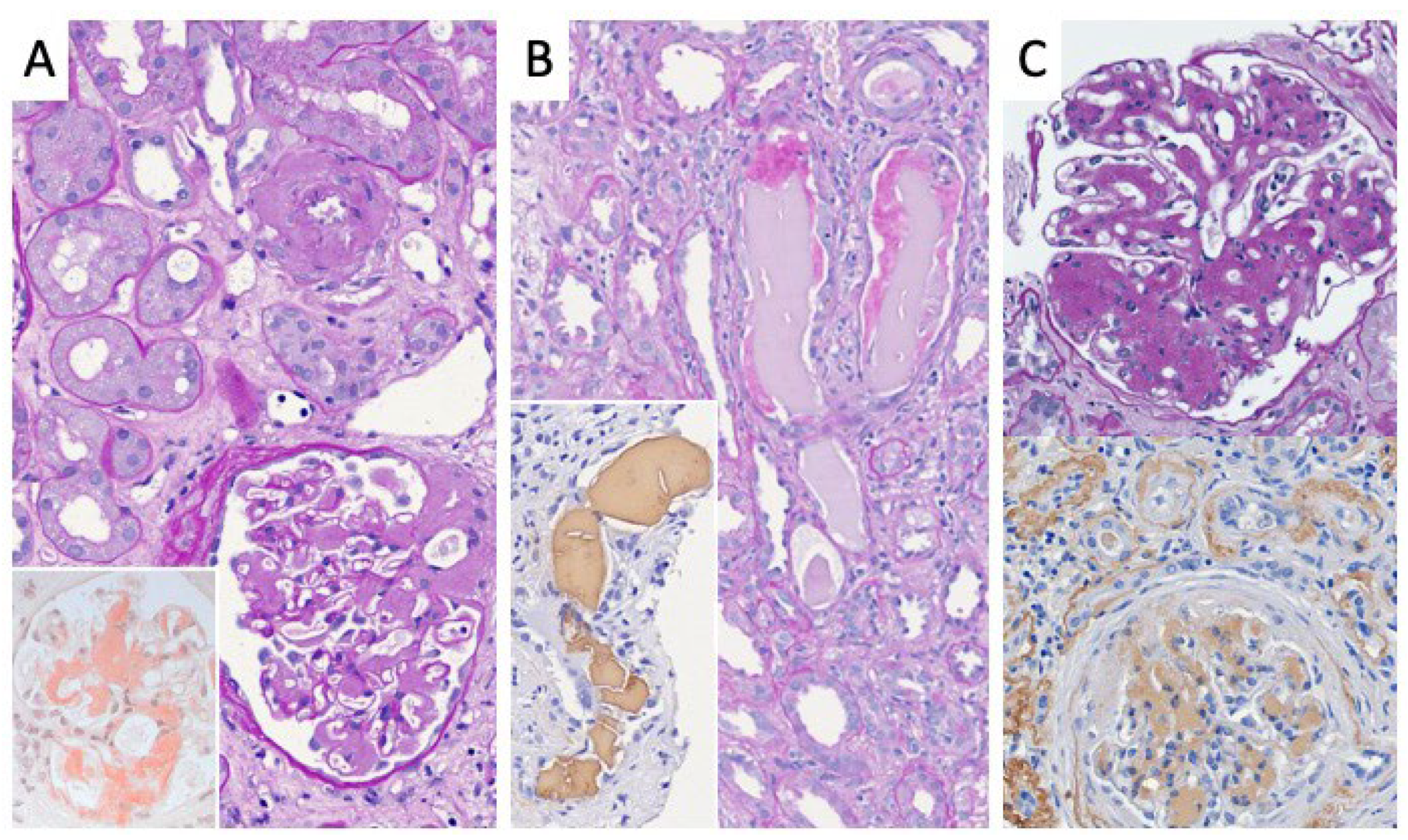 Diagnostics 12 01912 g002 Diagnostics 12 01912 g002
