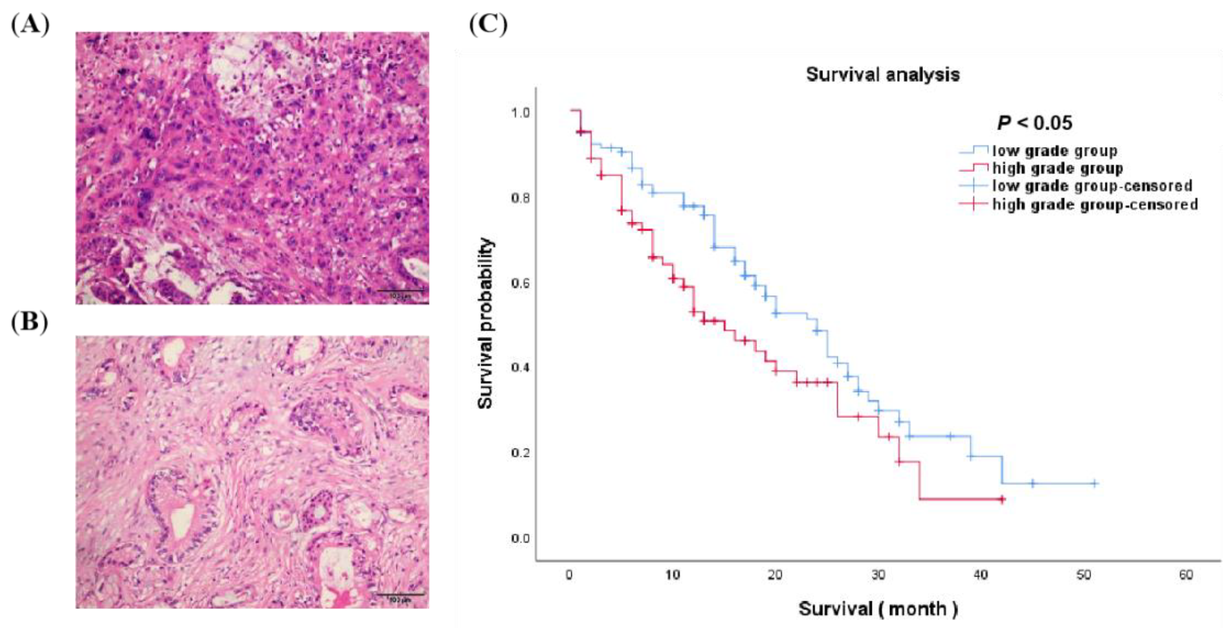 Diagnostics 12 01915 g003 550