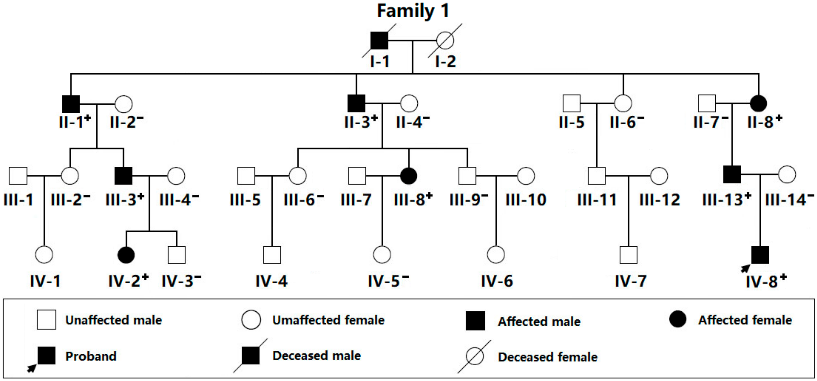 Diagnostics 12 01917 g001 550