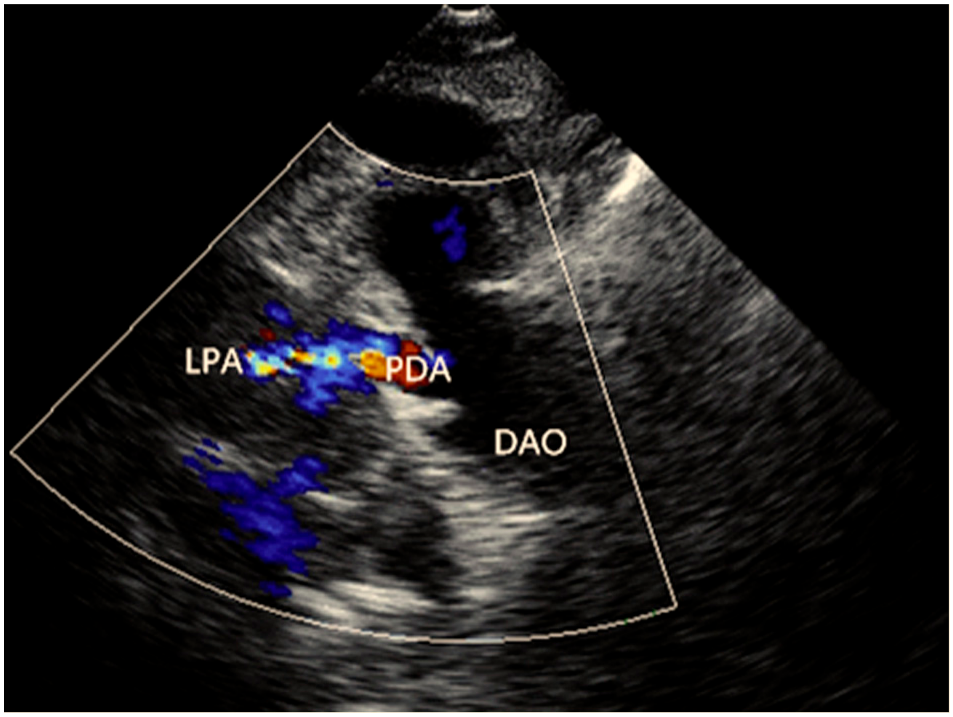 Diagnostics 12 01917 g002 550