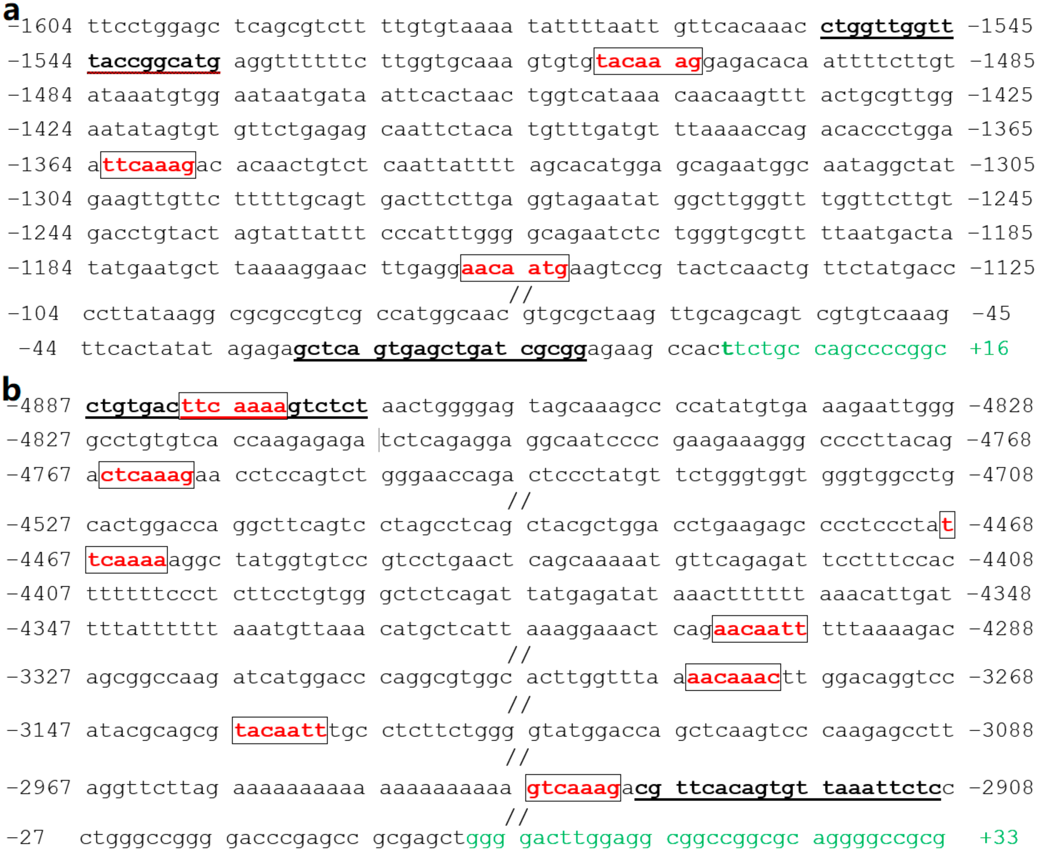 Diagnostics 12 01917 g006 550