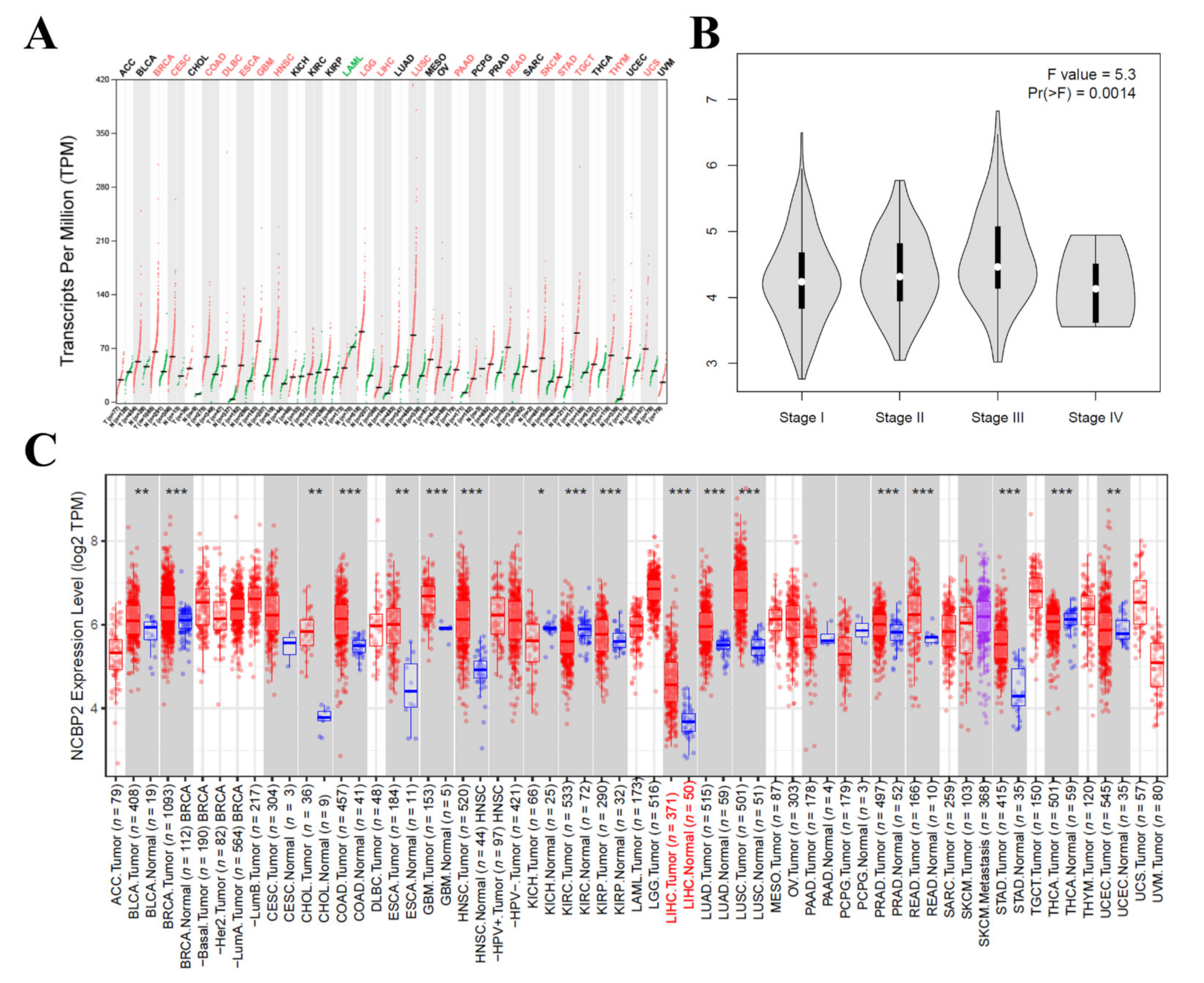 Diagnostics 12 01918 g005 550