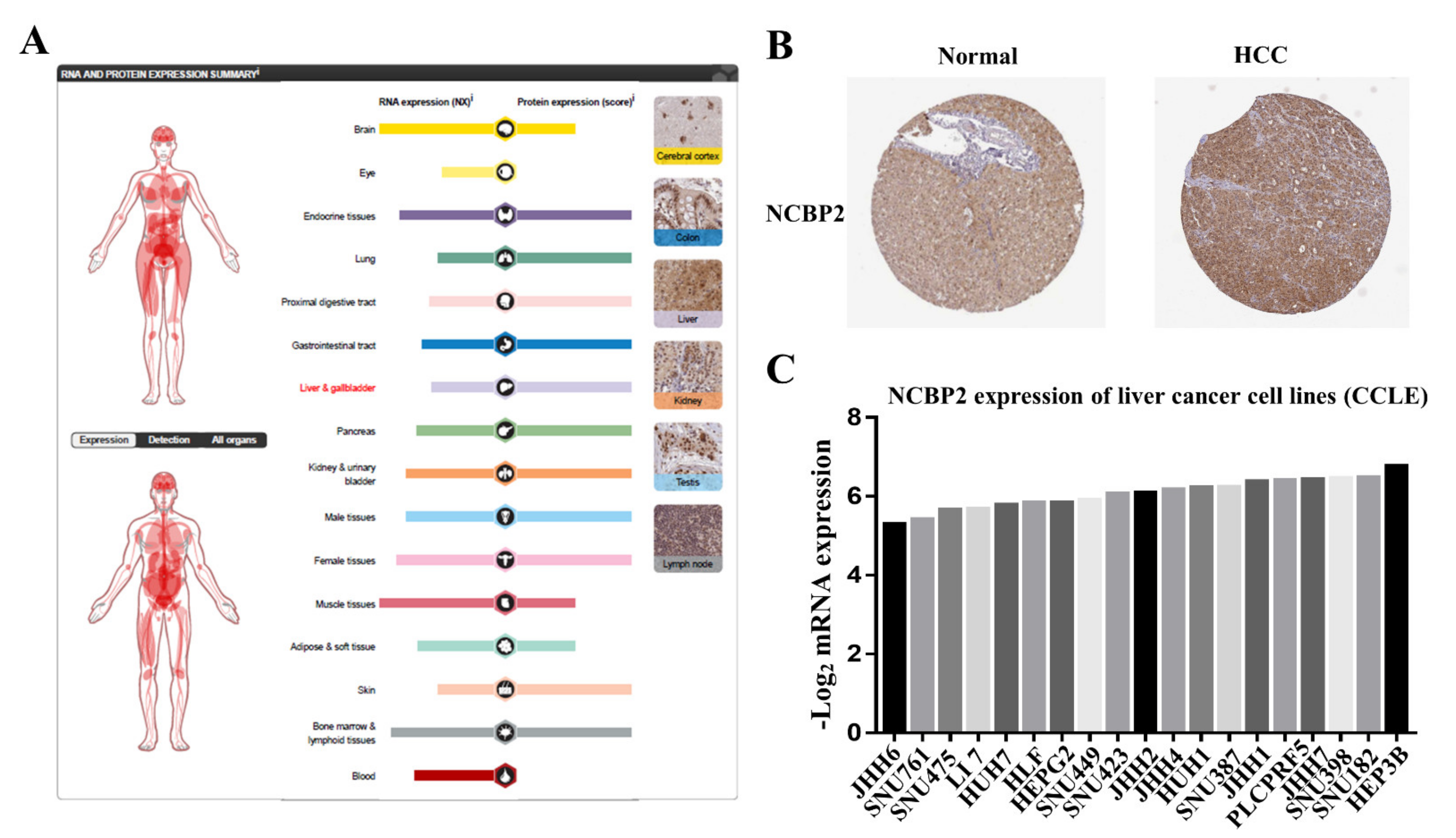 Diagnostics 12 01918 g007 550