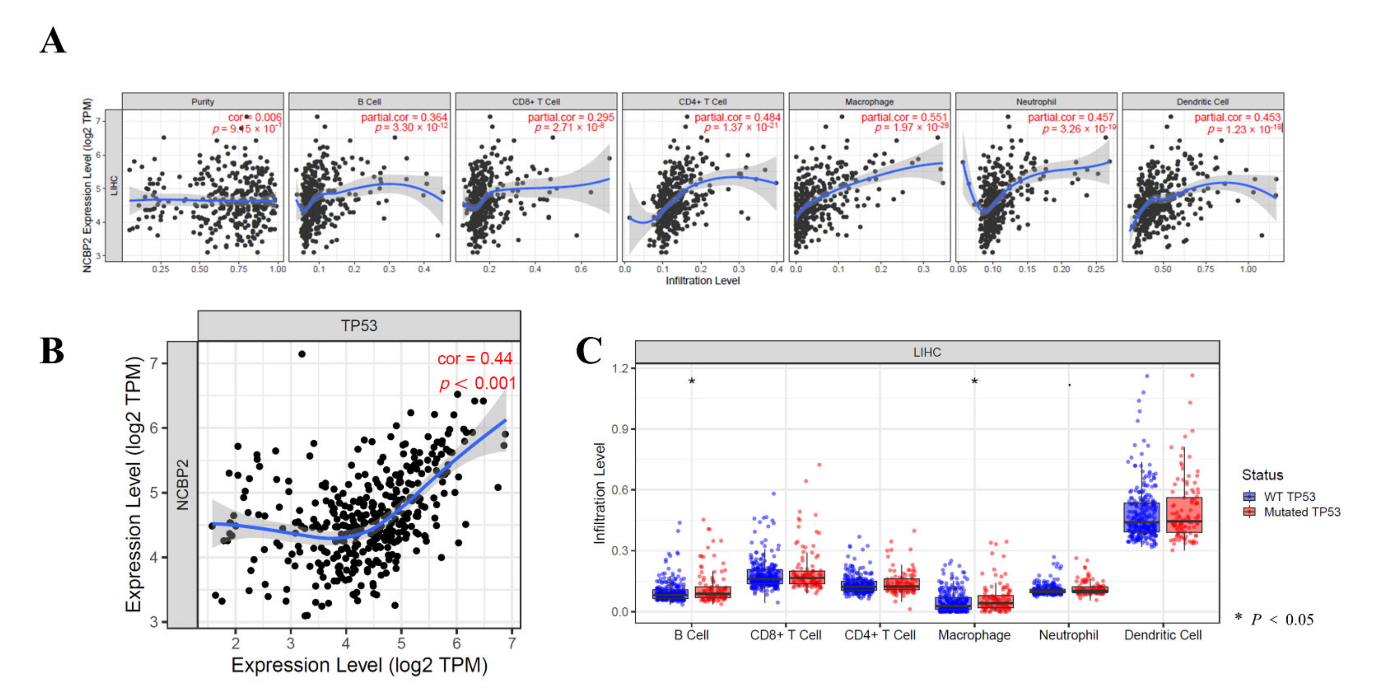 Diagnostics 12 01918 g008 550