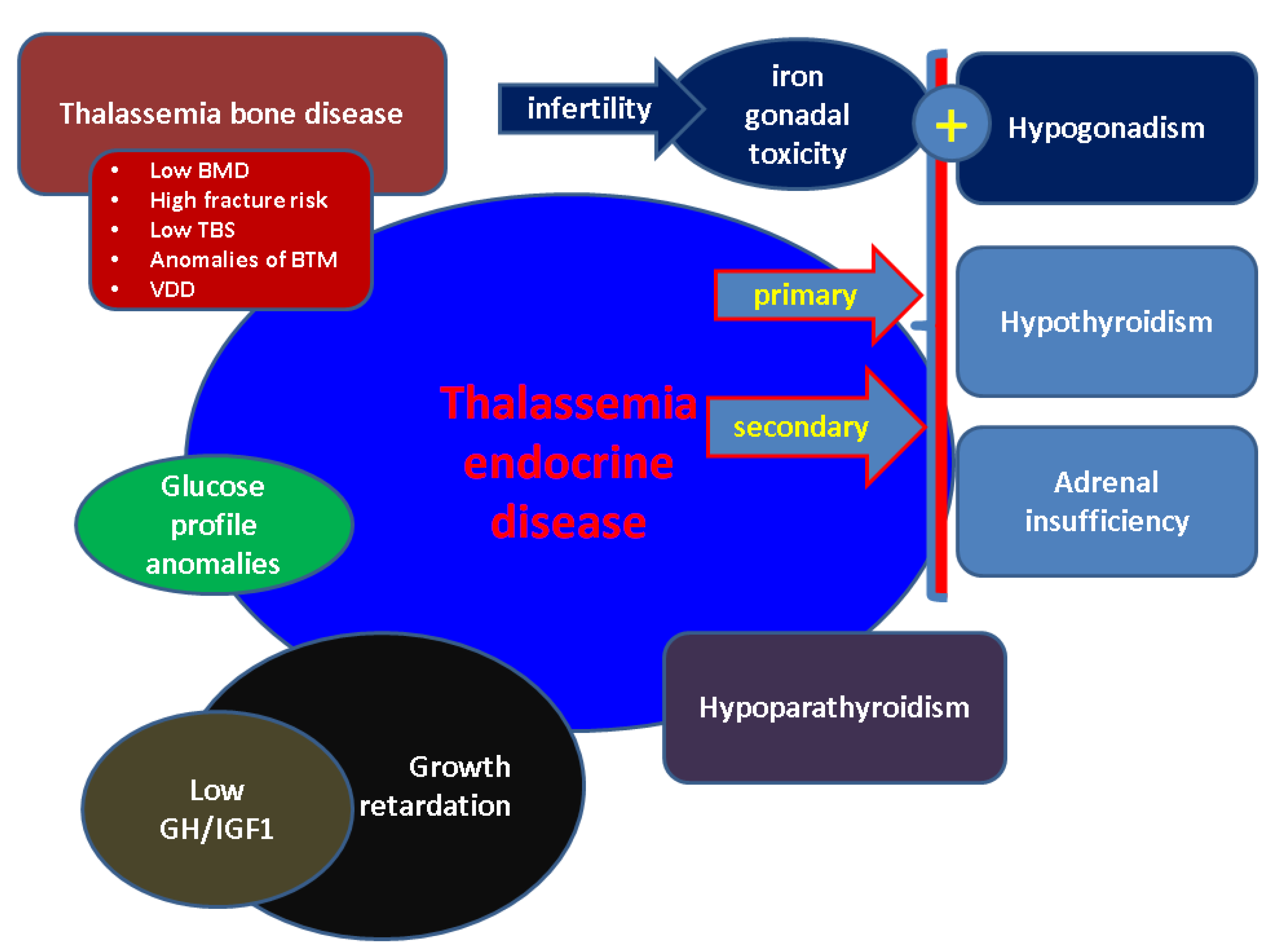 Diagnostics 12 01921 g001 550
