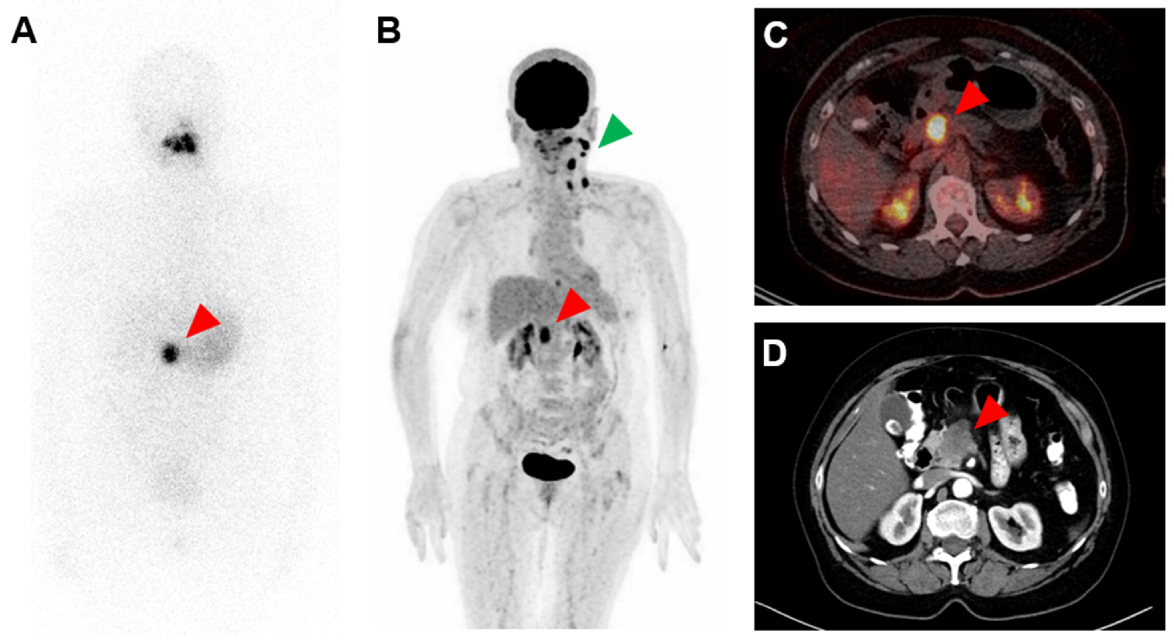 Diagnostics 12 01934 g001