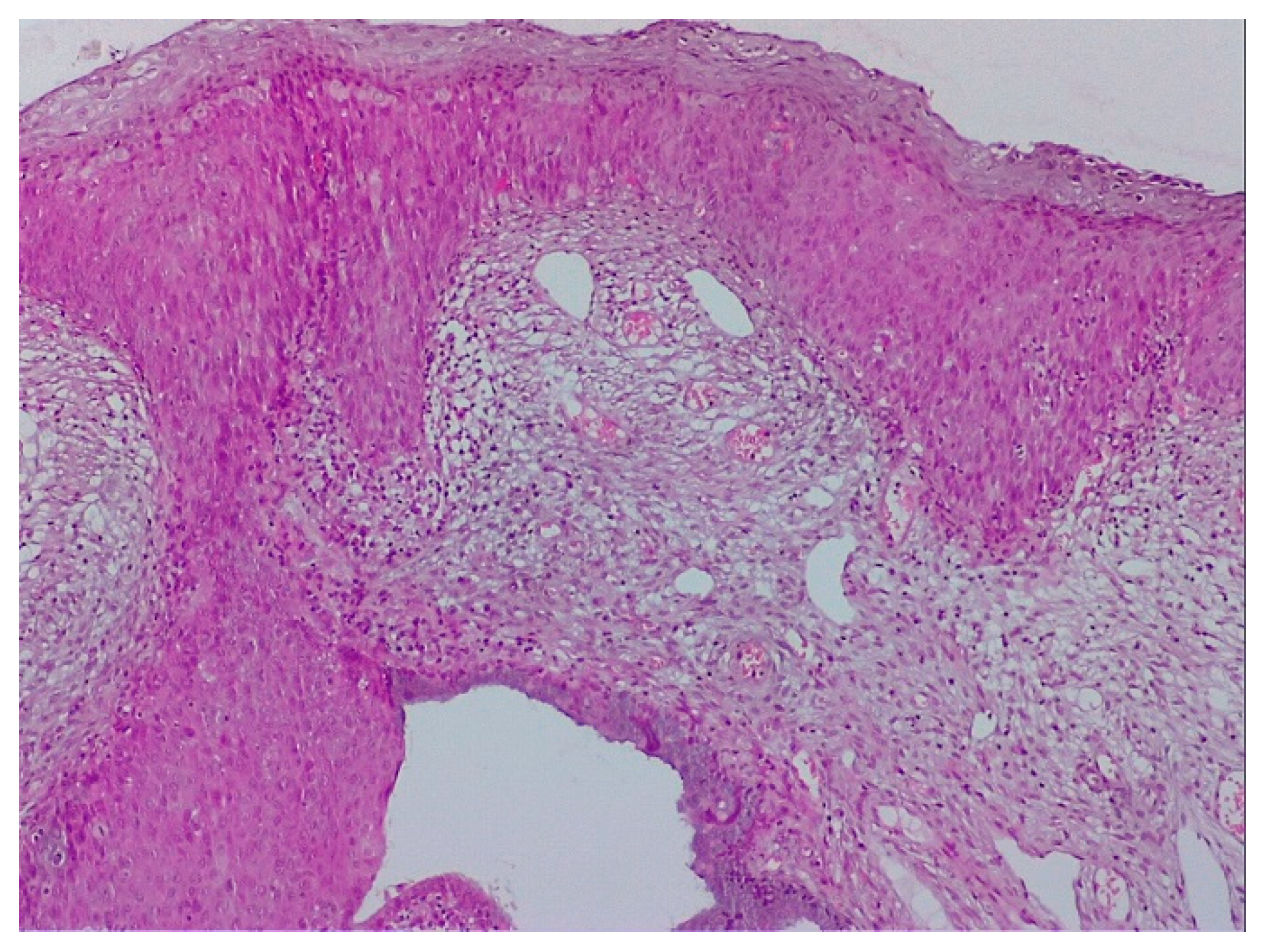 Diagnostics 12 01947 g005 550