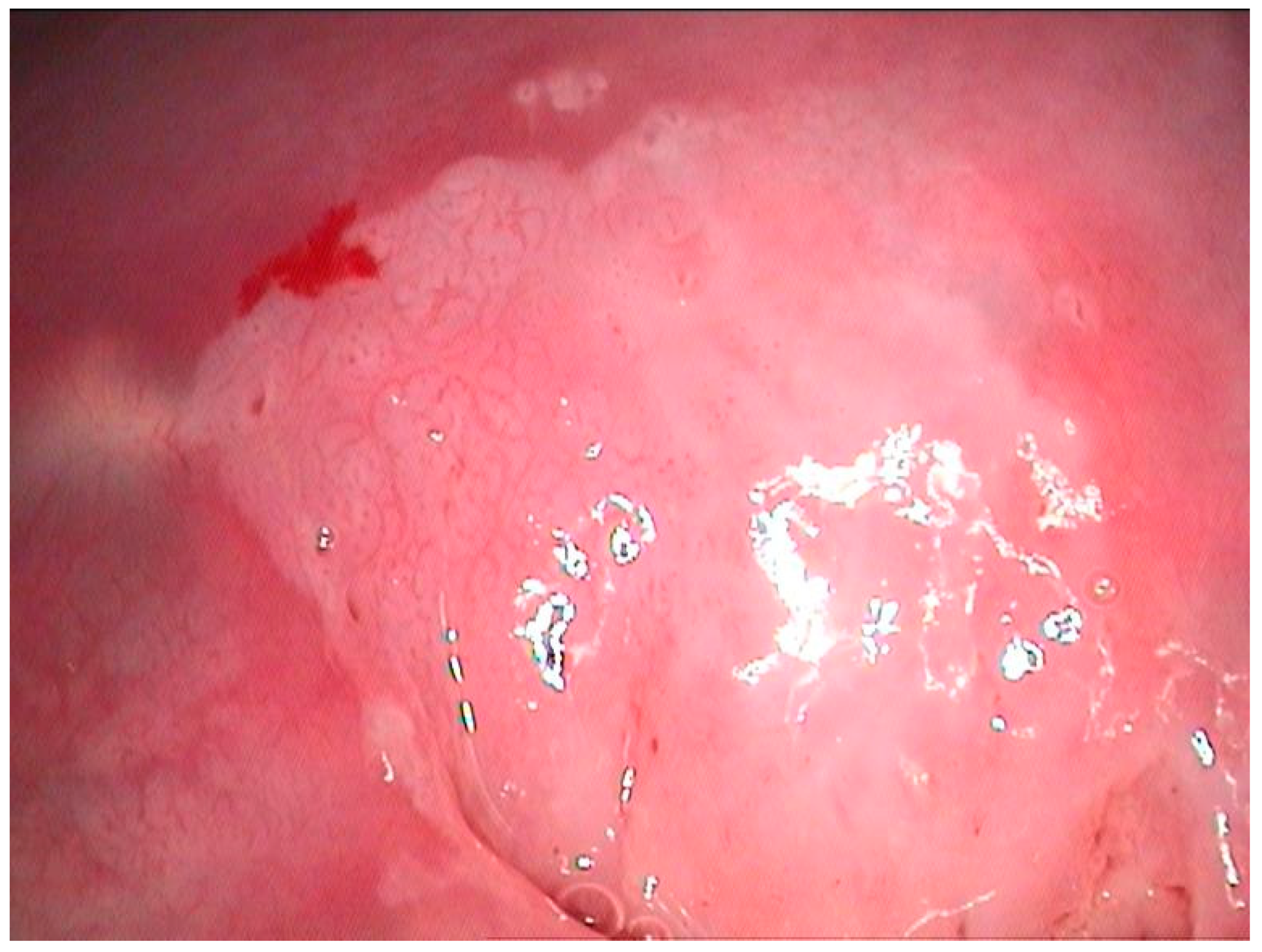 Diagnostics 12 01947 g008 550