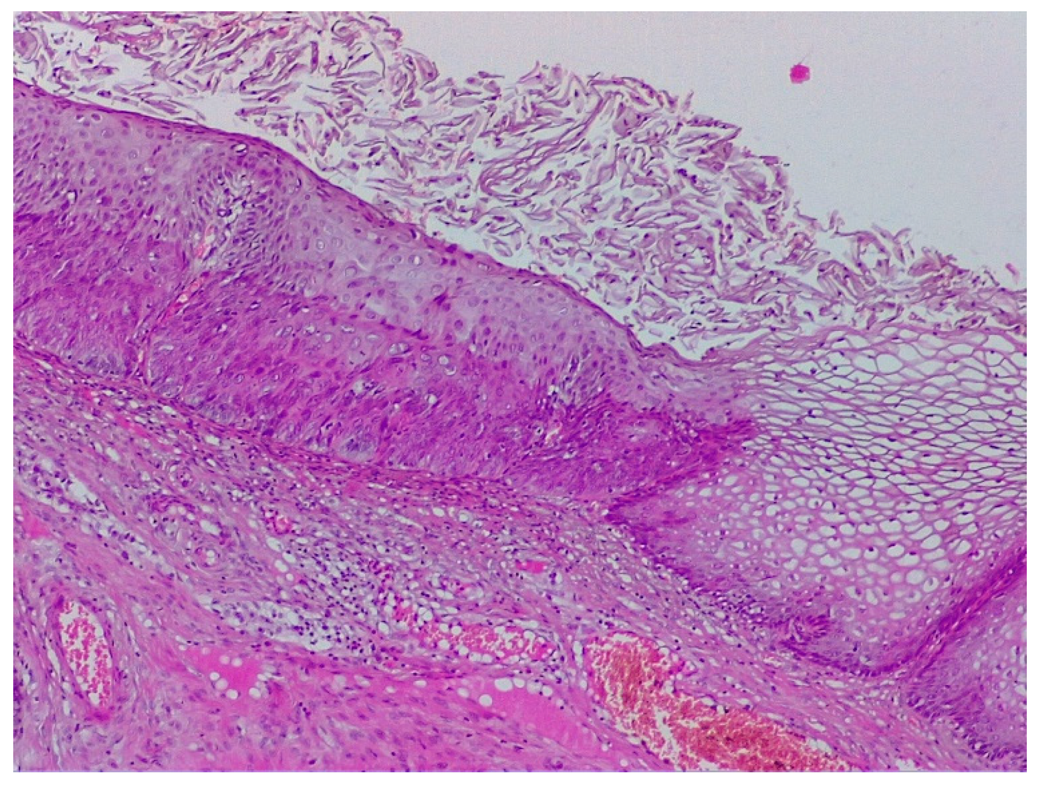 Diagnostics 12 01947 g009 550