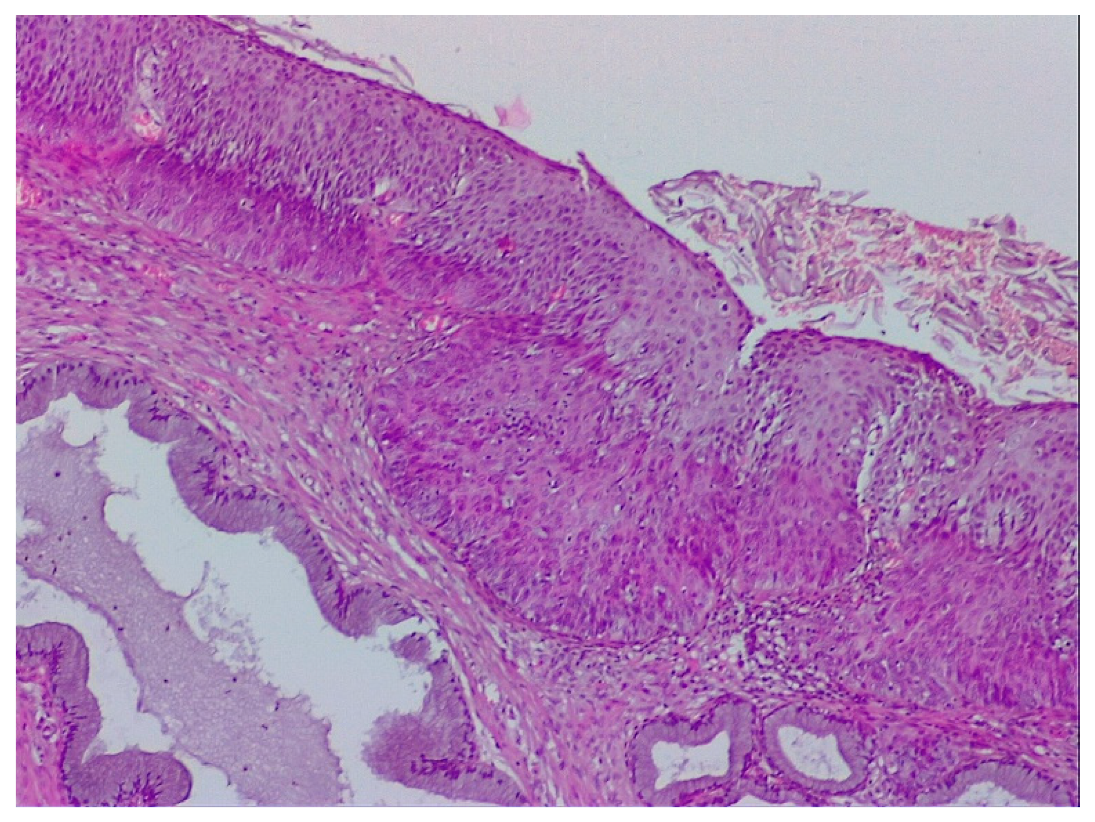 Diagnostics 12 01947 g011 550