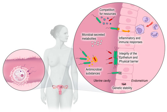 Body Composition Scan - Center for Reproductive Medicine and