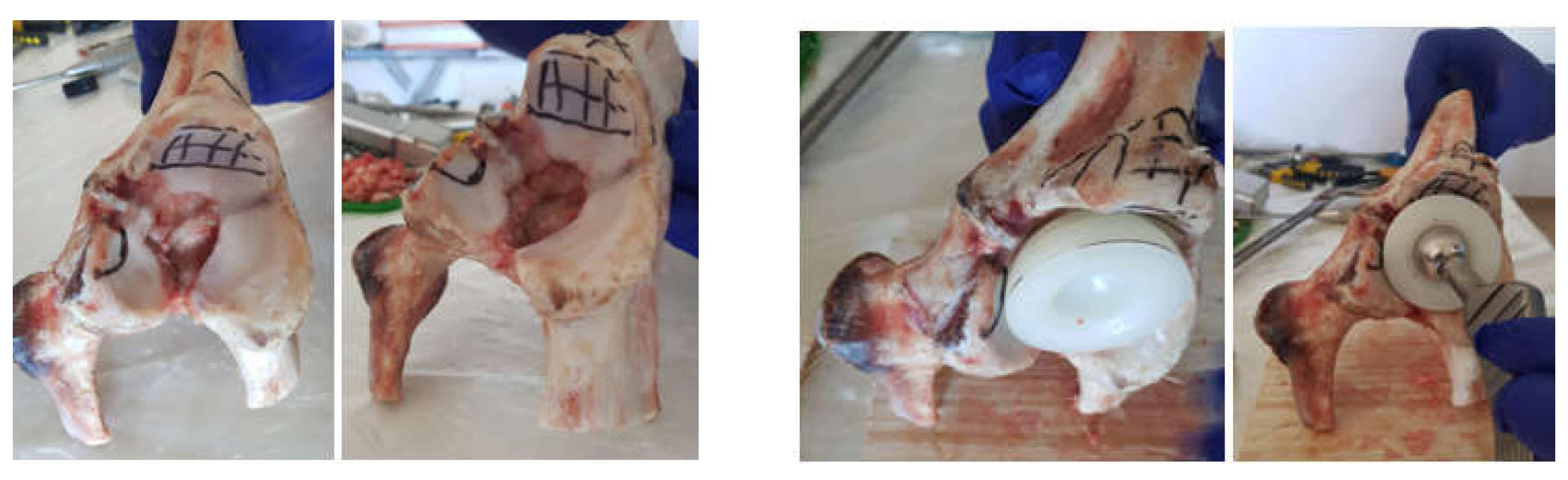 Diagnostics 12 01952 g008 550