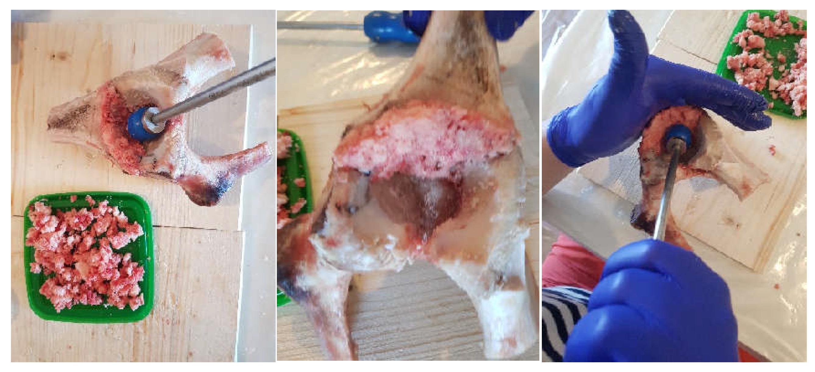 Diagnostics 12 01952 g010 550