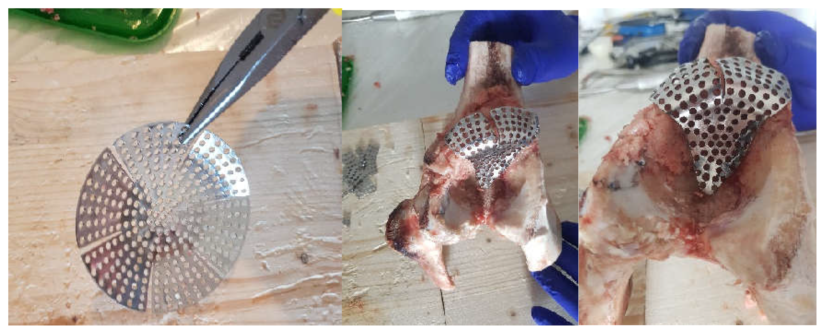 Diagnostics 12 01952 g011 550