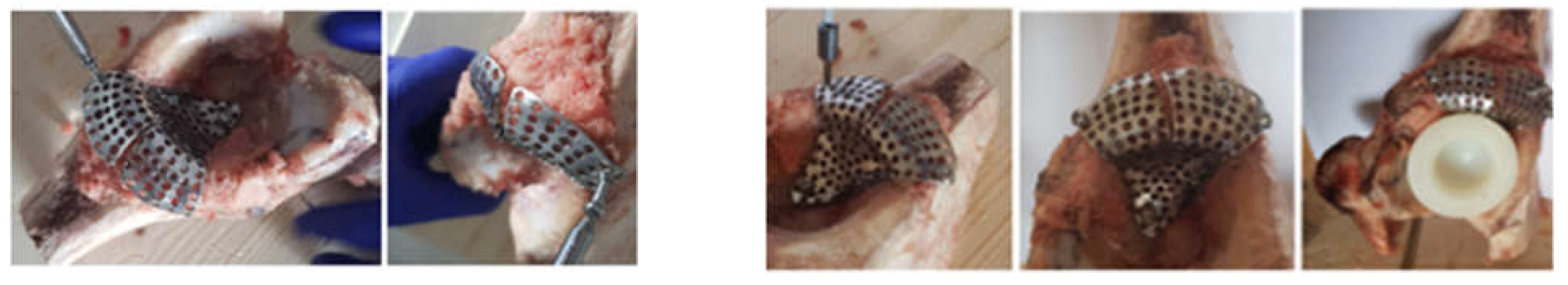 Diagnostics 12 01952 g012 550