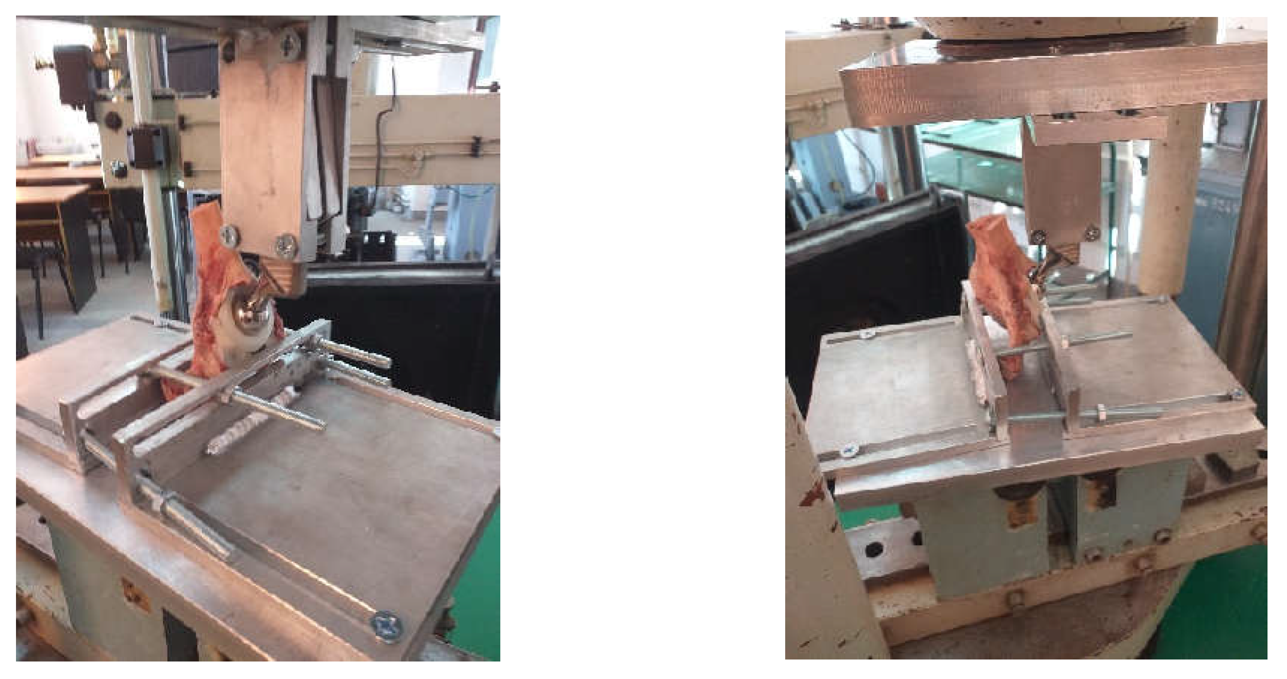 Diagnostics 12 01952 g018 550