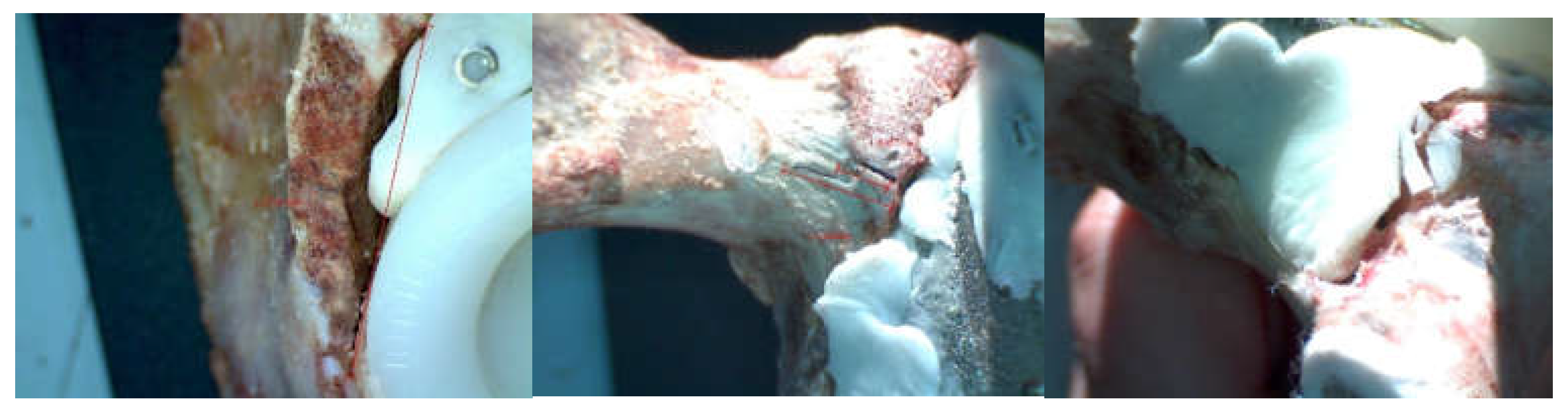 Diagnostics 12 01952 g019 550