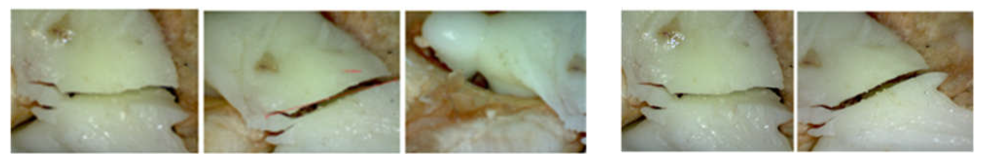 Diagnostics 12 01952 g020 550