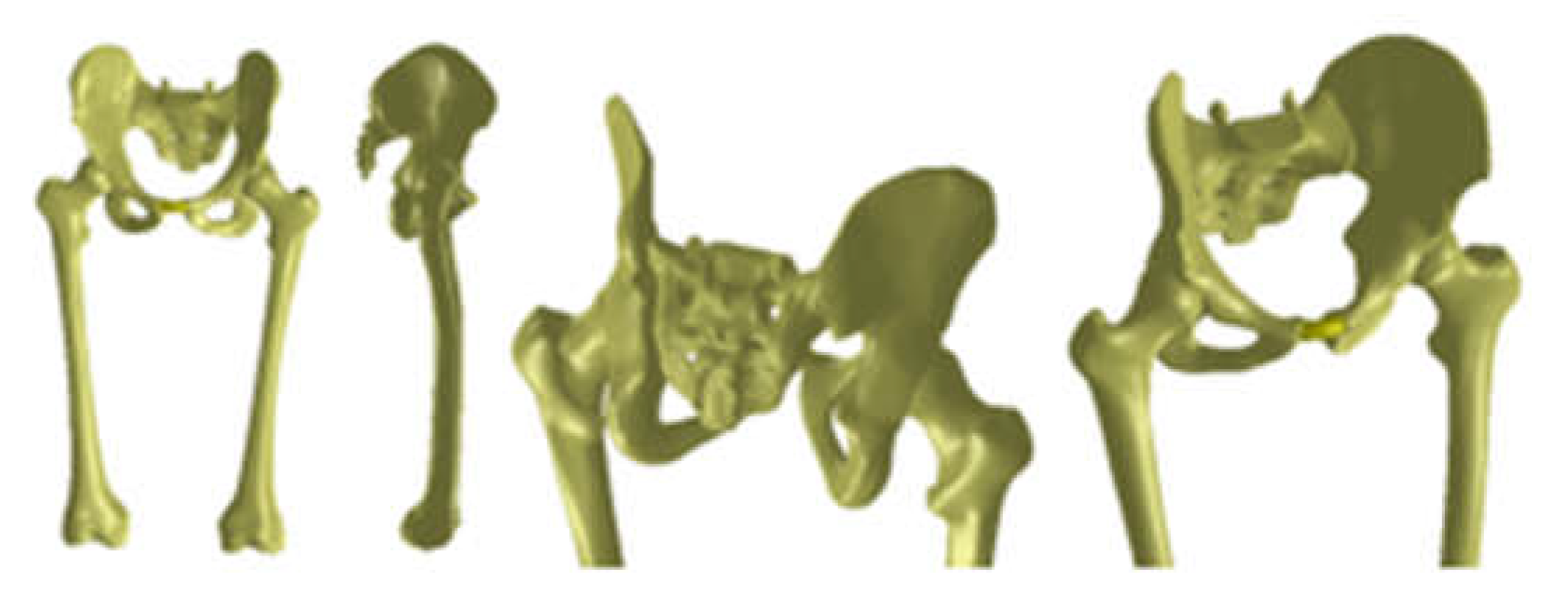 Diagnostics 12 01952 g031 550