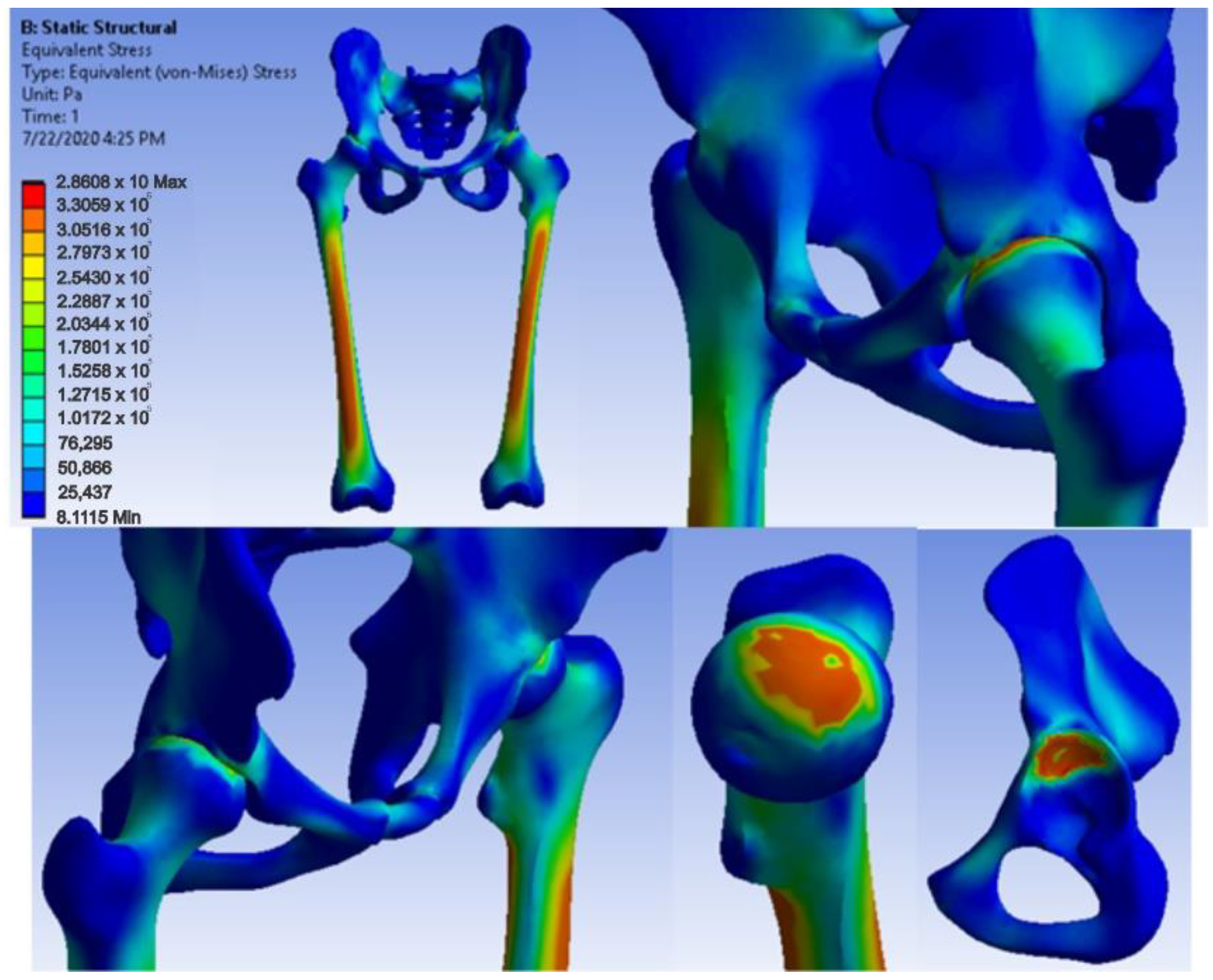 Diagnostics 12 01952 g038 550