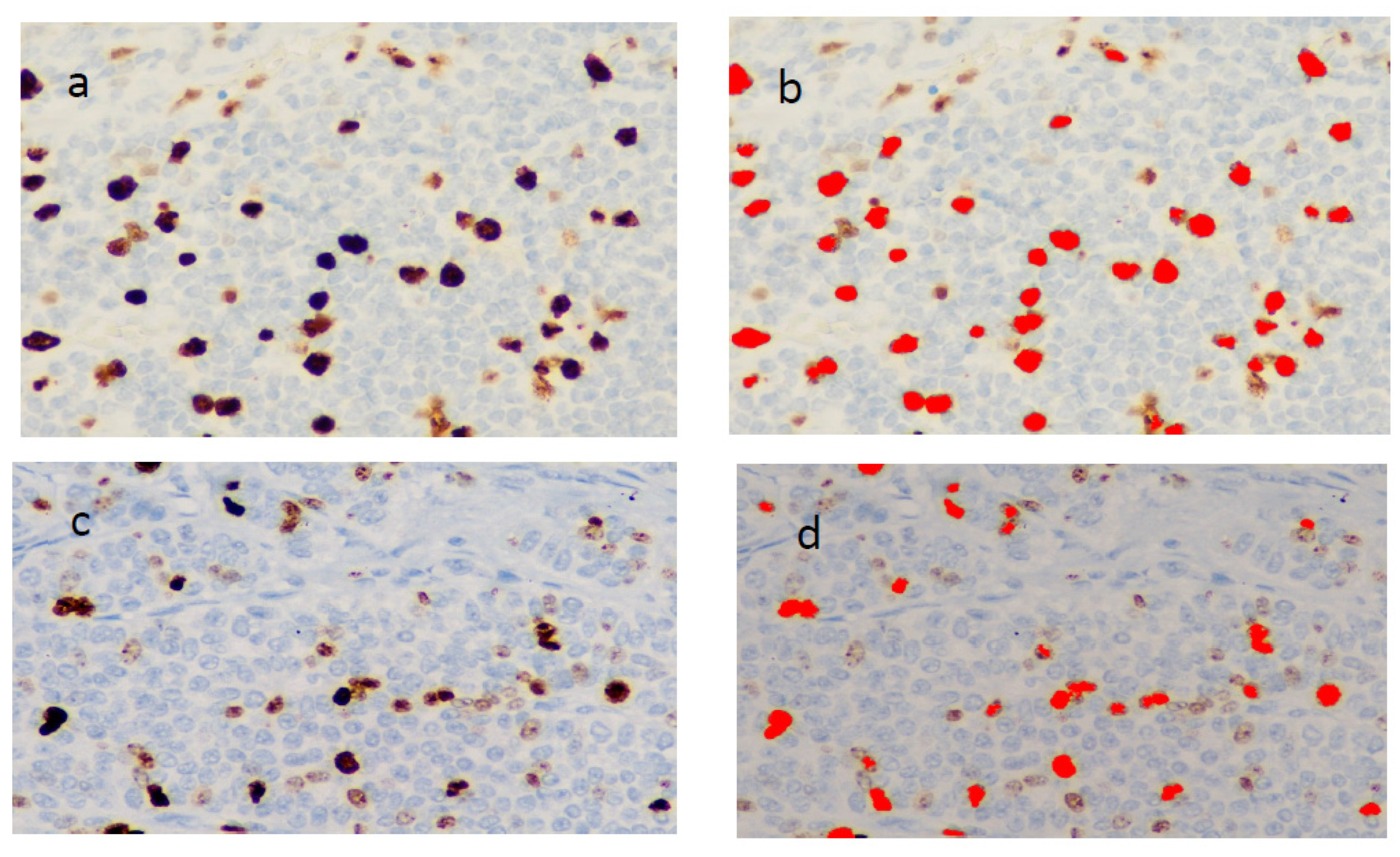 Diagnostics 12 01960 g002