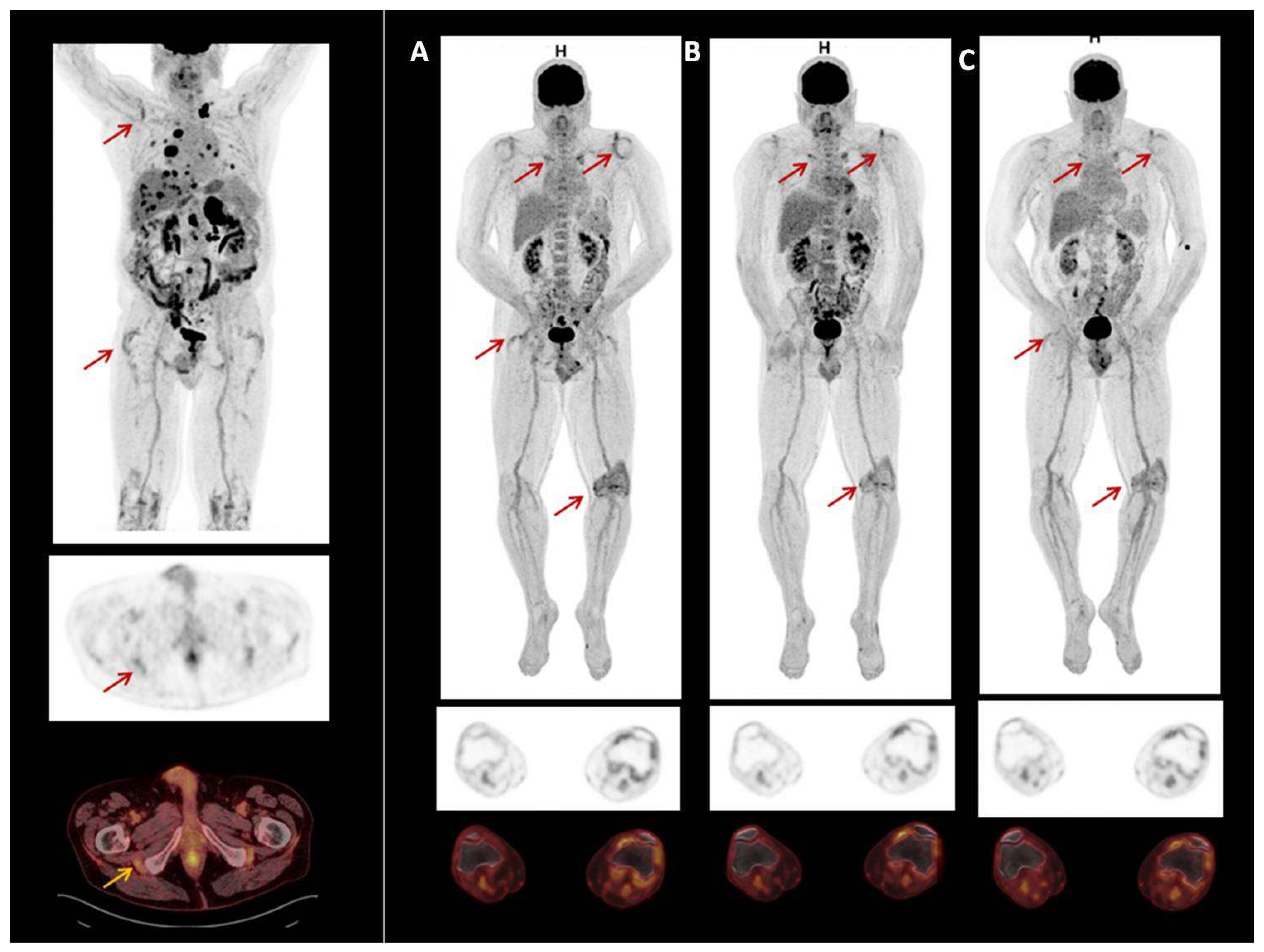 Diagnostics 12 01961 g006 550
